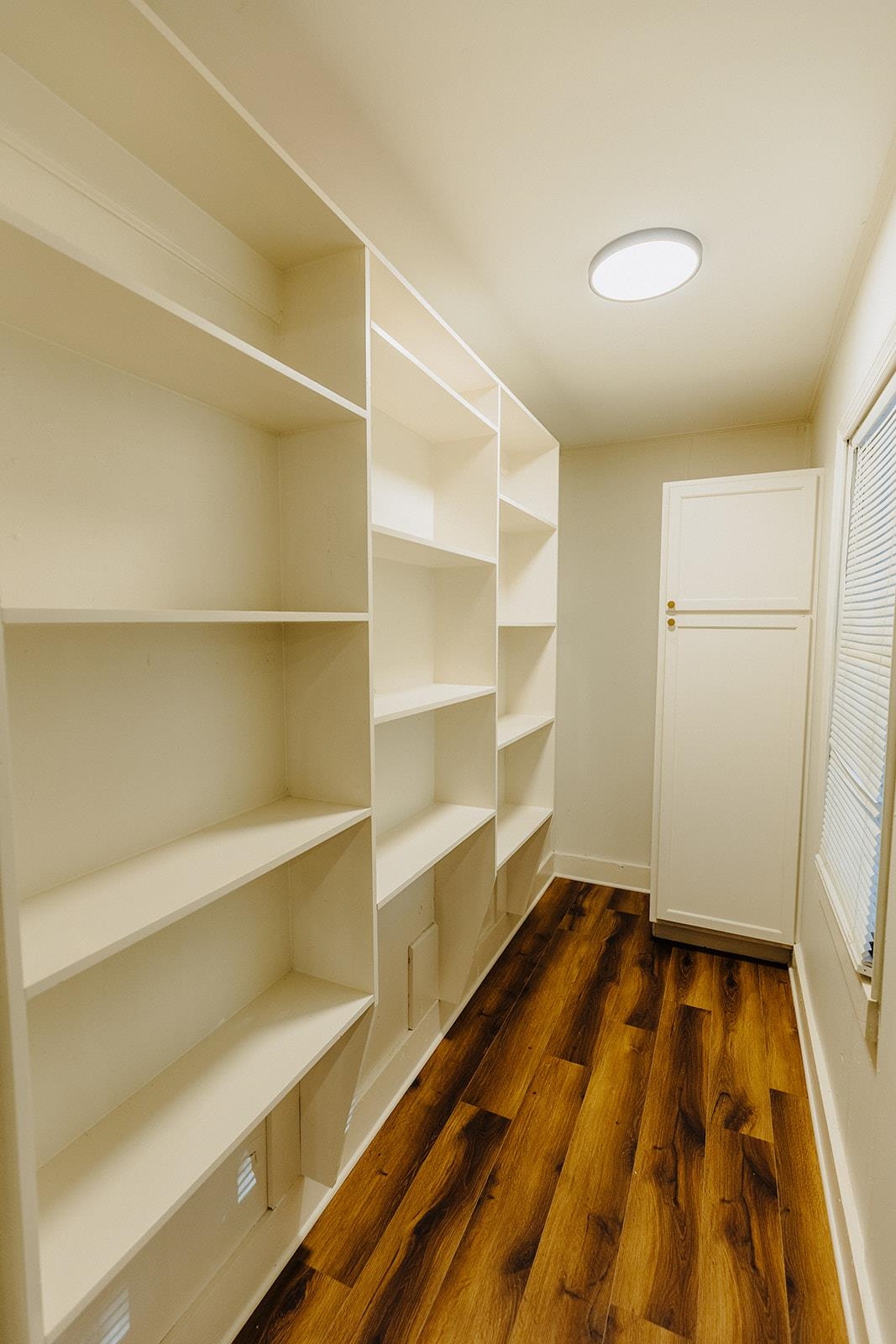 Spacious closet with dark hardwood / wood-style flooring