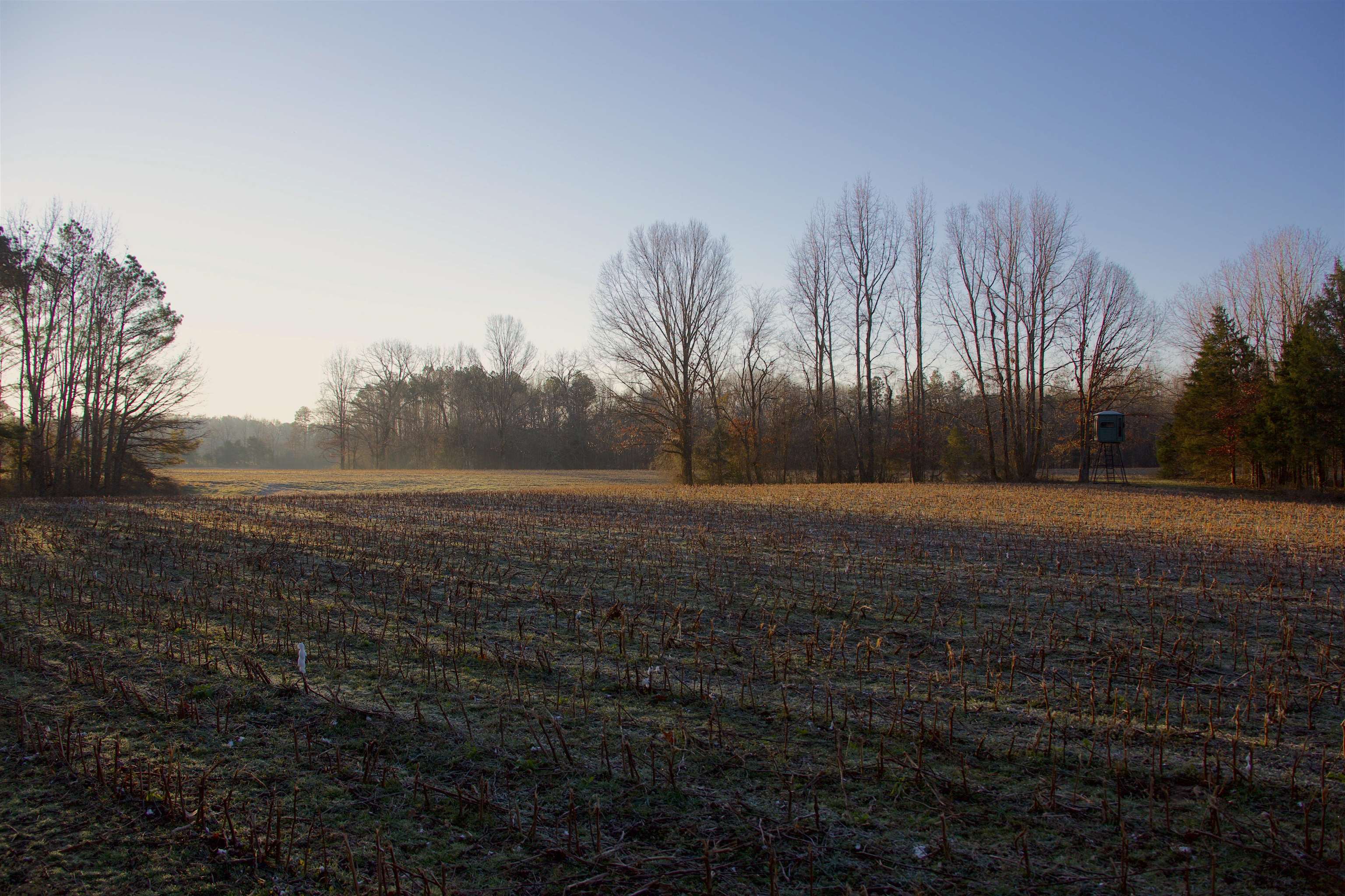 7000 Van Buren, Hickory Valley, Tennessee image 17