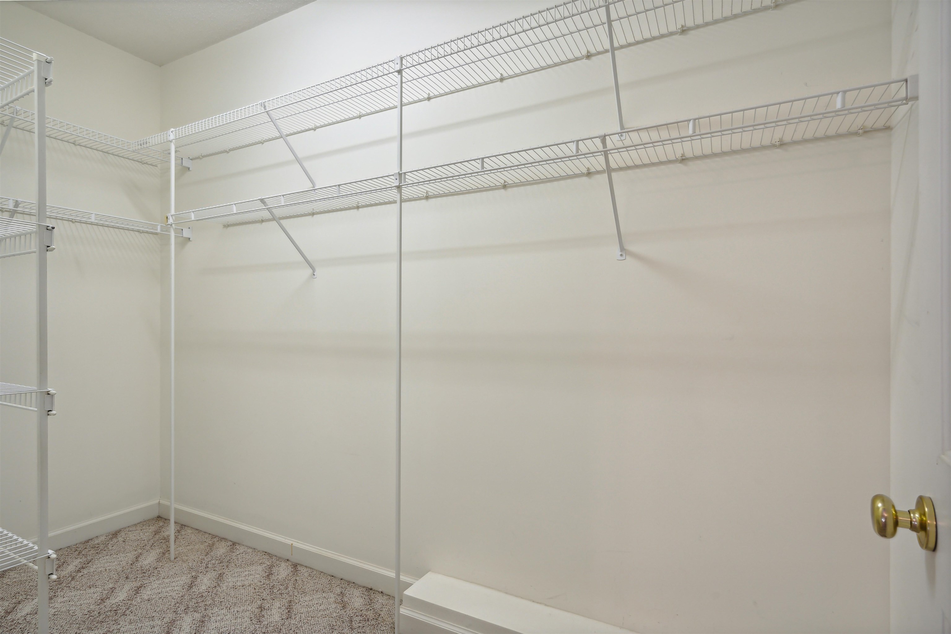 Walk in closet featuring carpet