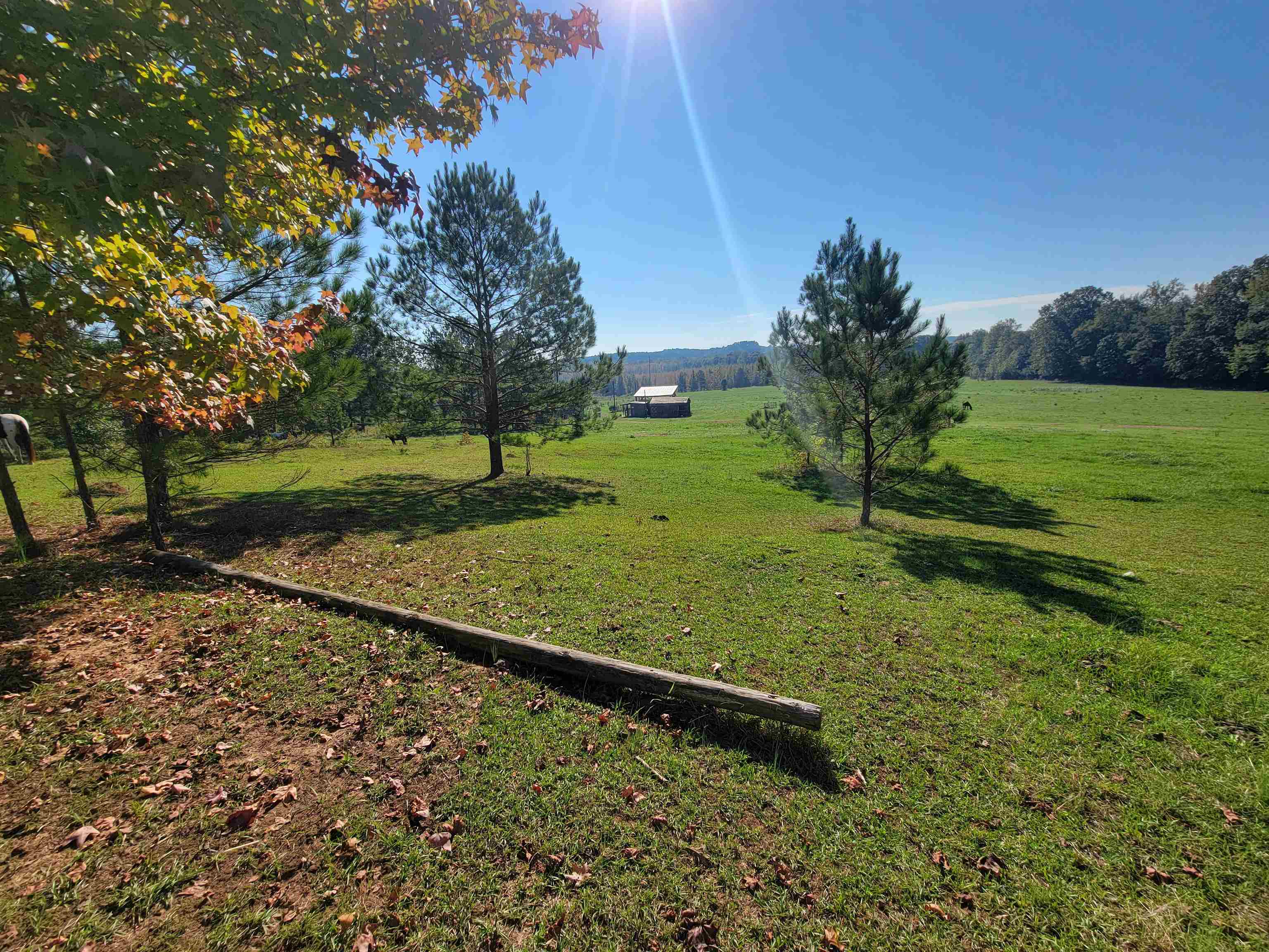 View of yard featuring a rural view