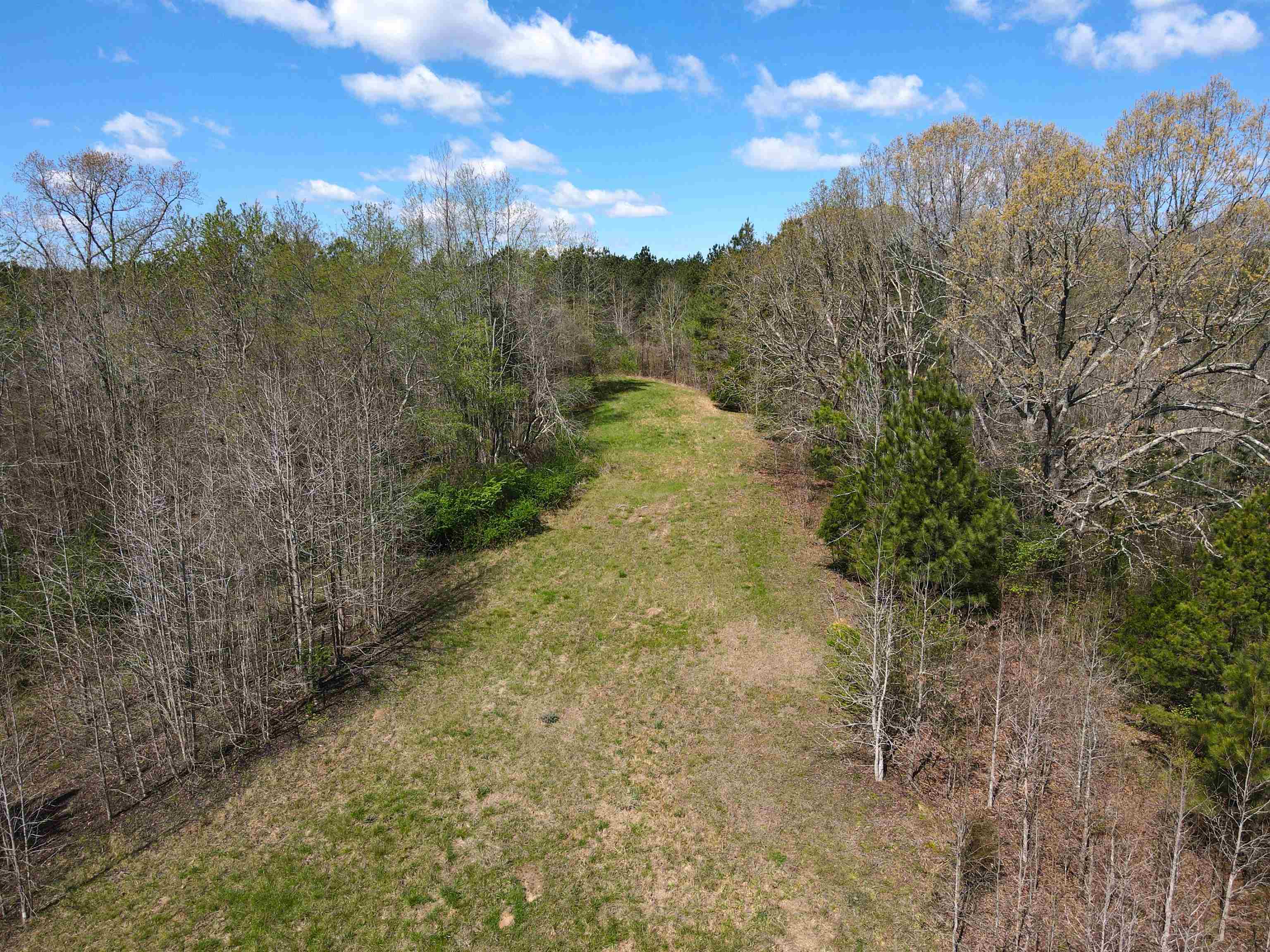 Sulphur Springs/warren Floyd, Selmer, Tennessee image 6