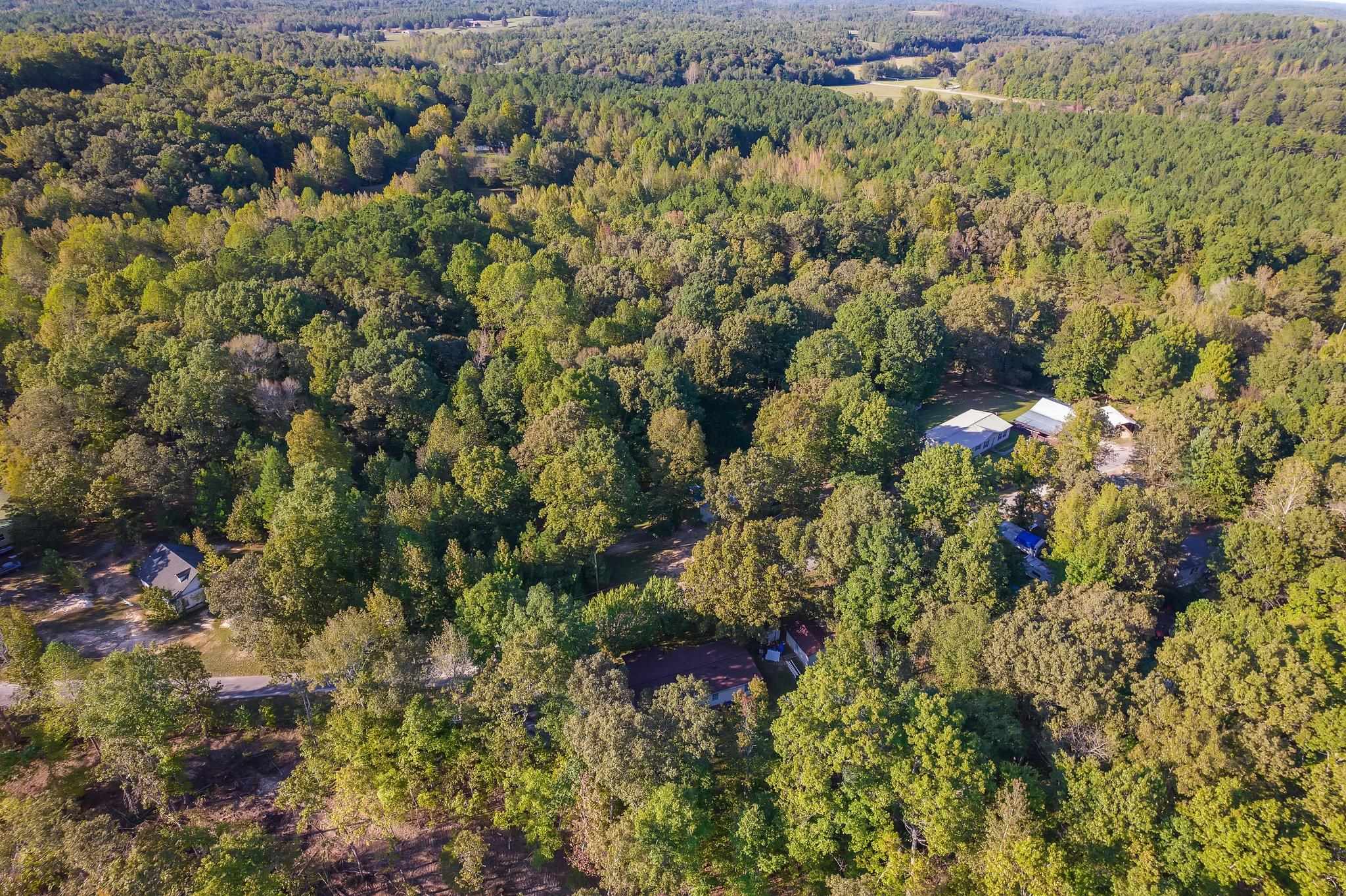 Bird\'s eye view