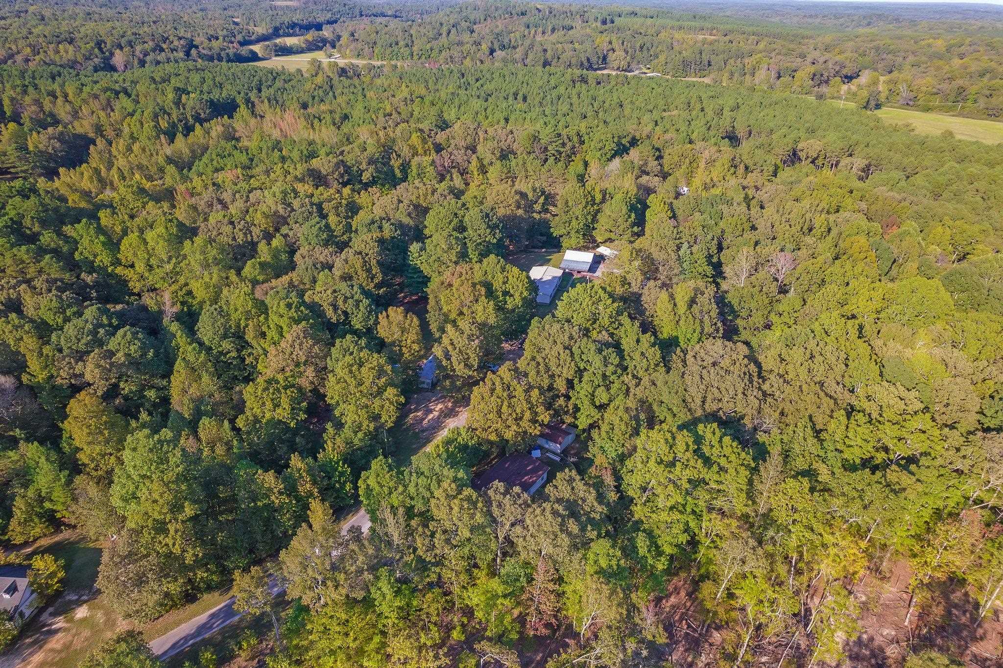 Bird\'s eye view