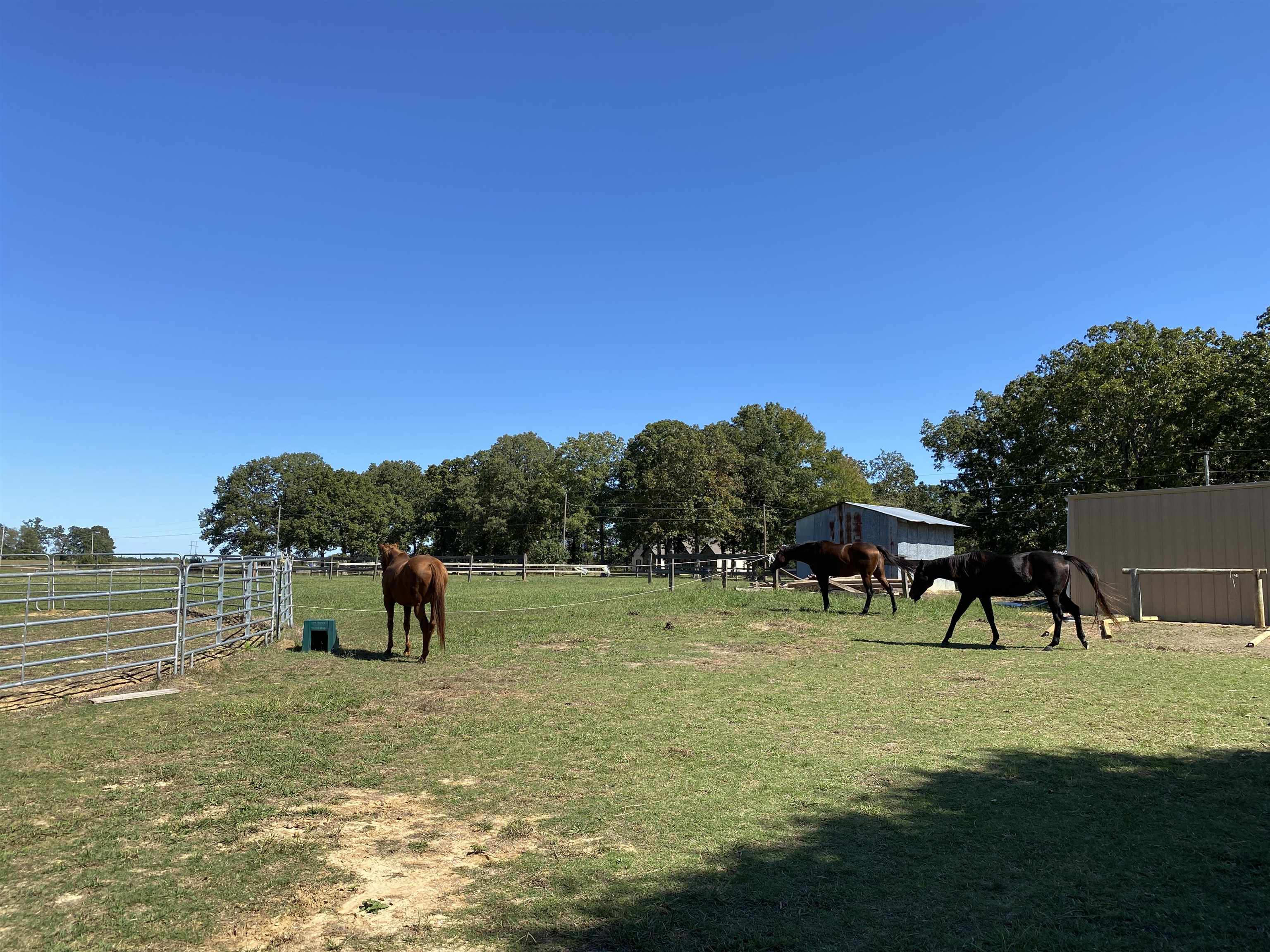 View of yard featuring a rural view