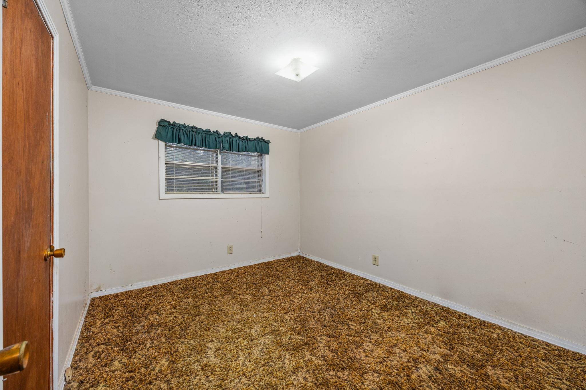 Carpeted spare room featuring crown molding and a textured ceiling