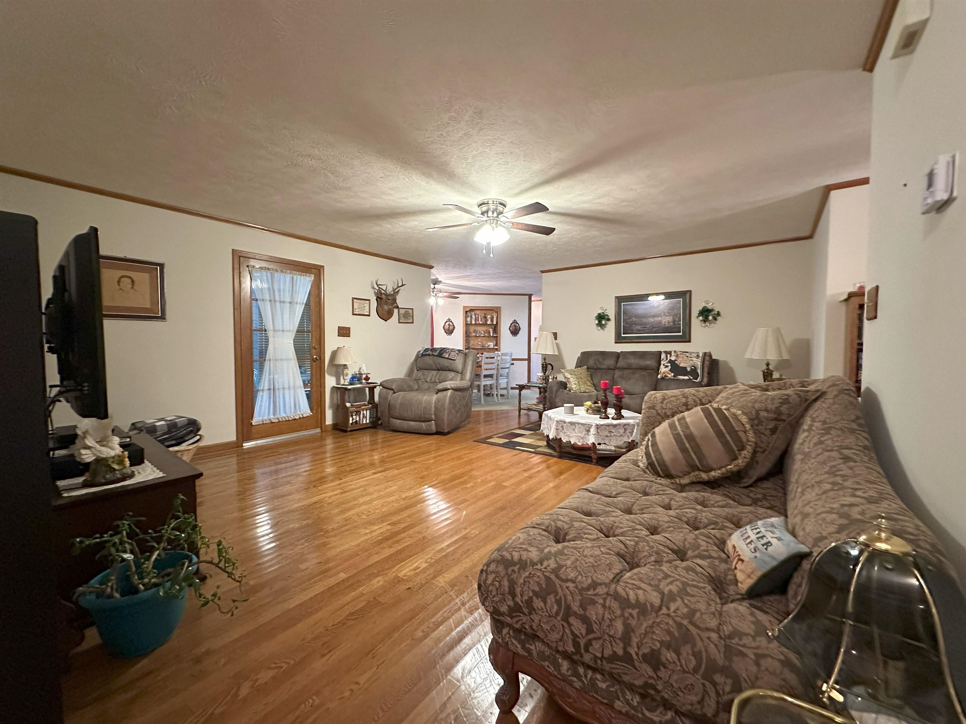 Living room featuring ceiling fan, crown molding, wood-type flooring, and a textured ceiling