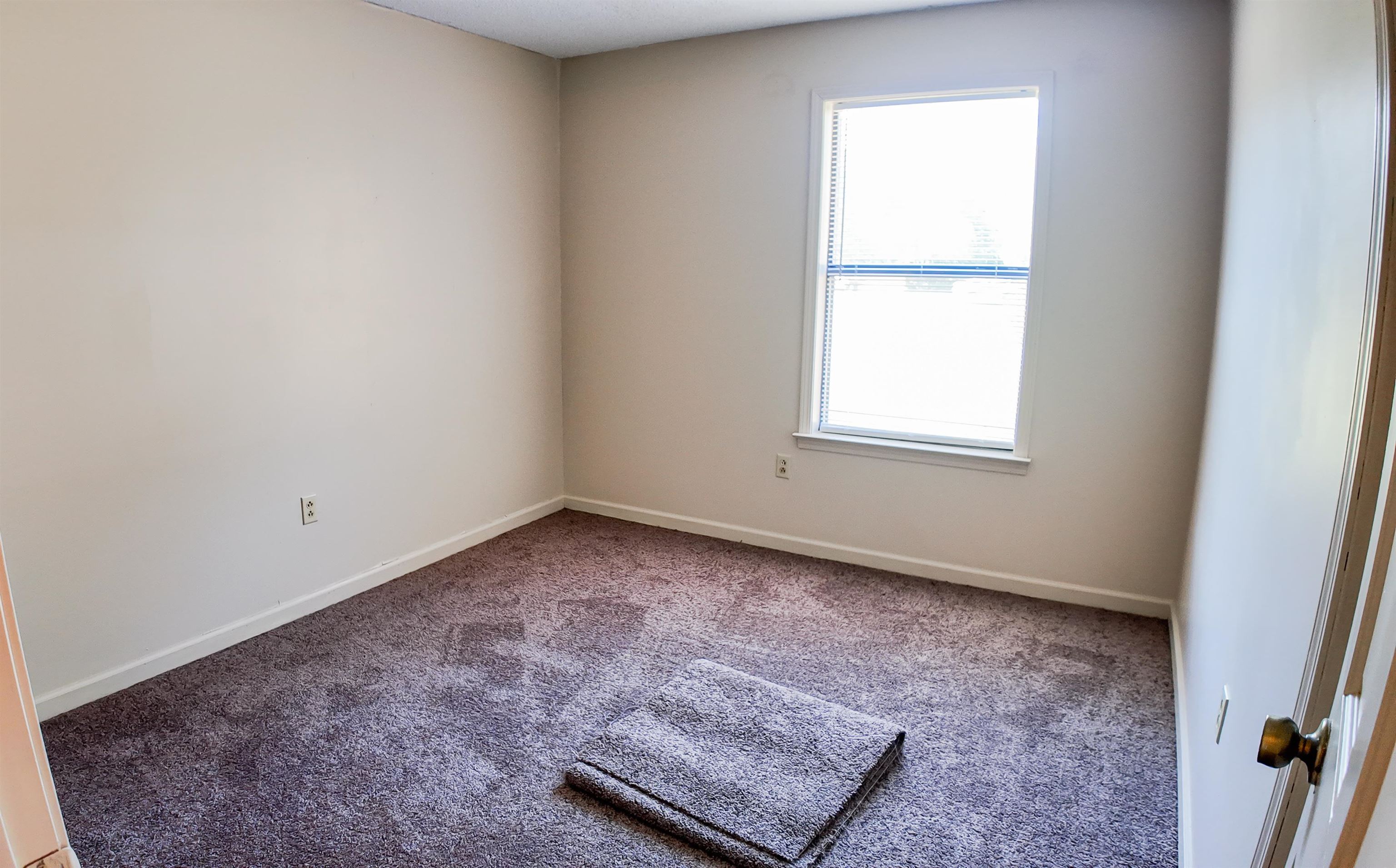 Carpeted spare room featuring a healthy amount of sunlight