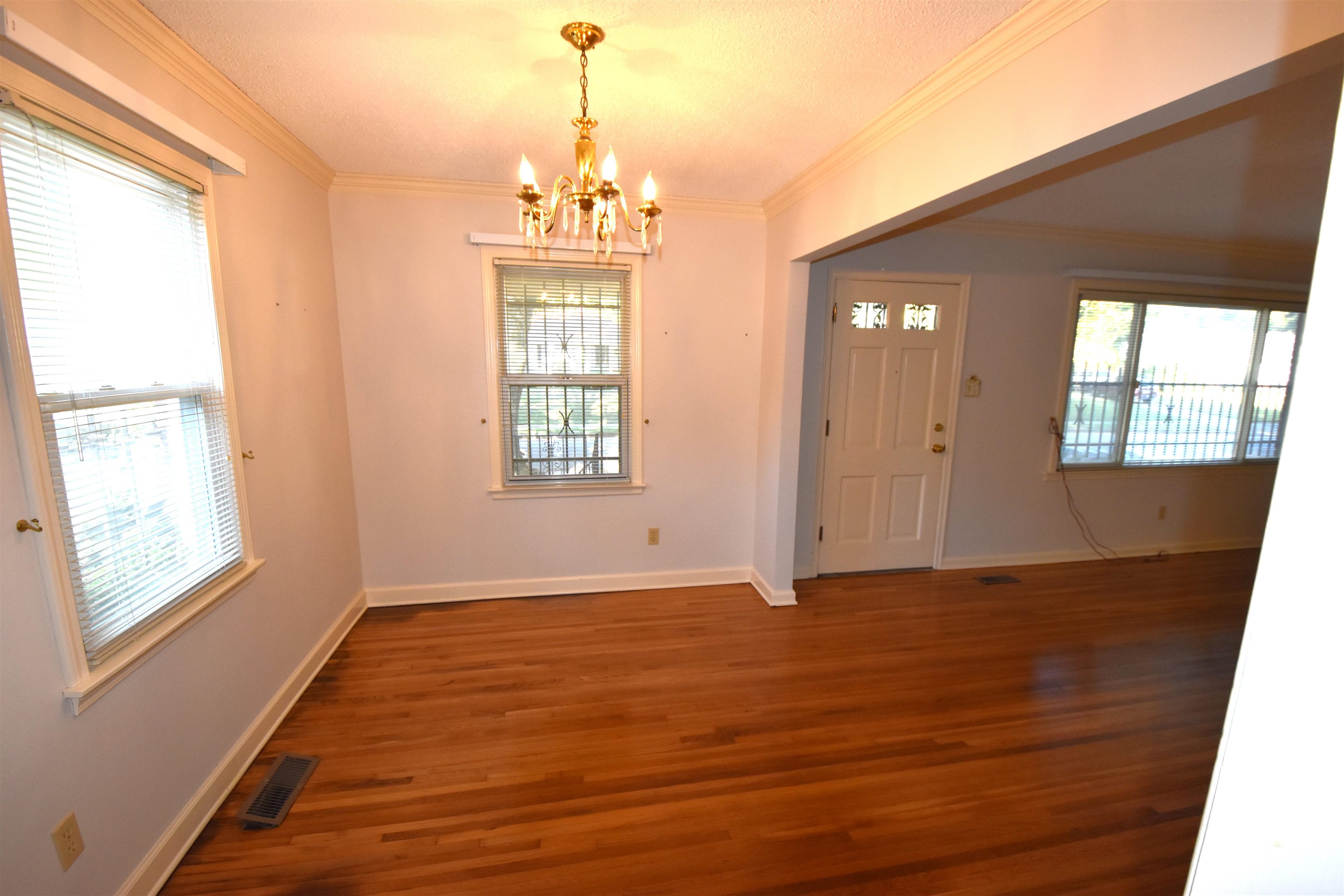 Entryway with crown molding, a wealth of natural light, and dark hardwood / wood-style flooring