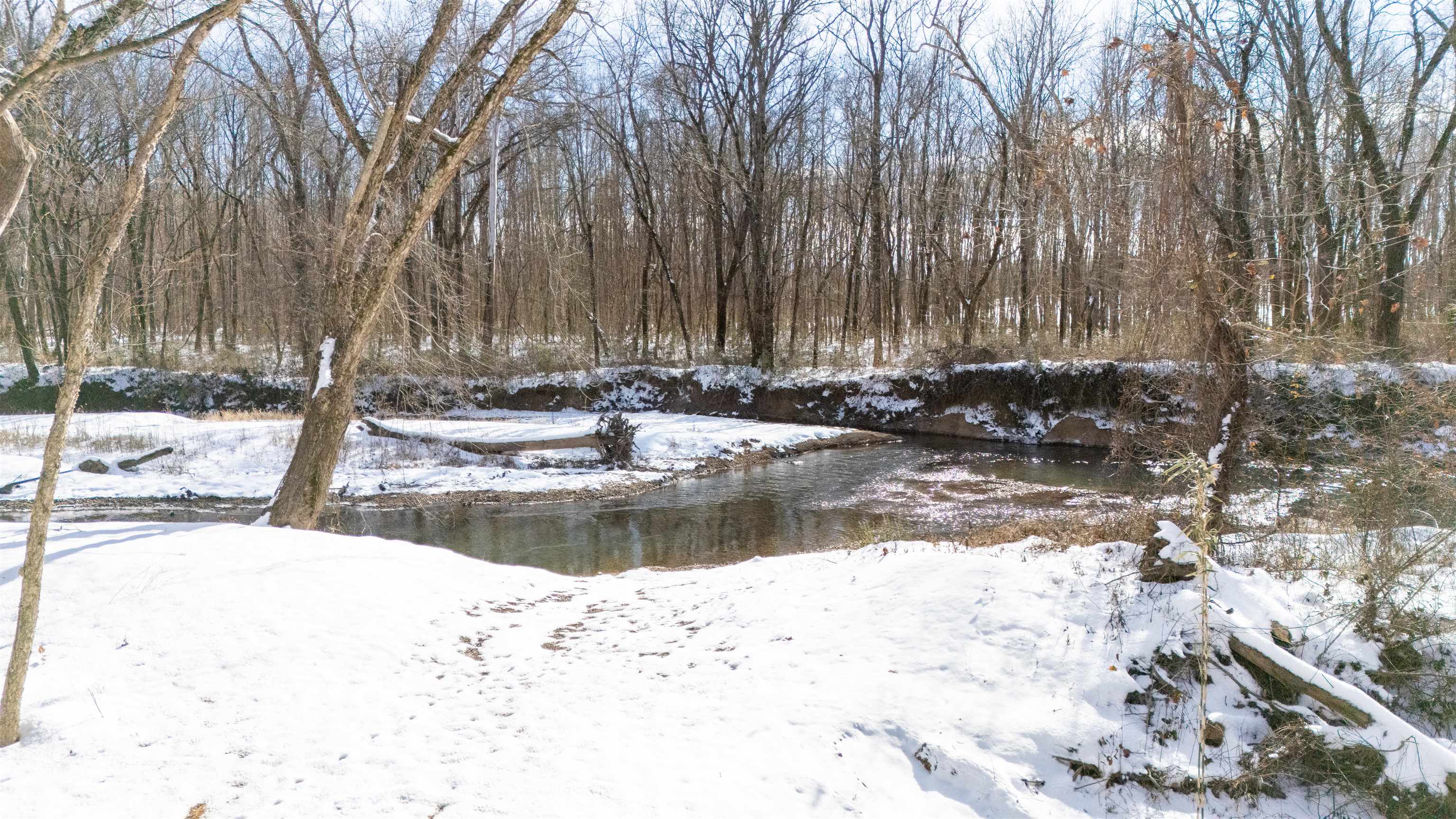 View of snowy yard