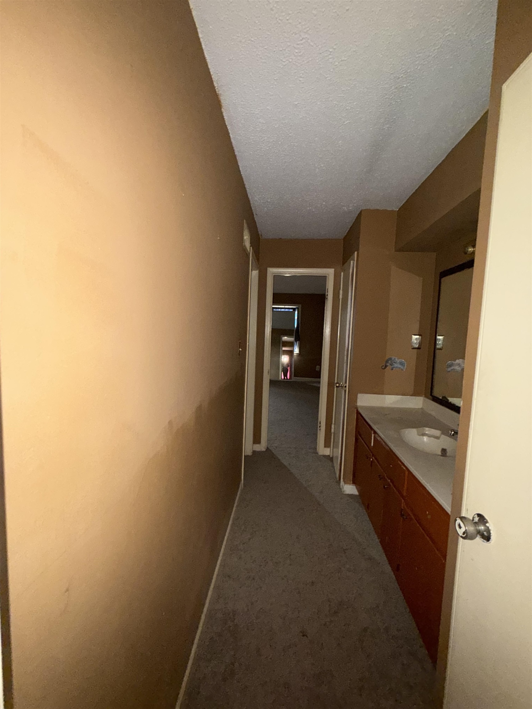 Bathroom featuring vanity and a textured ceiling