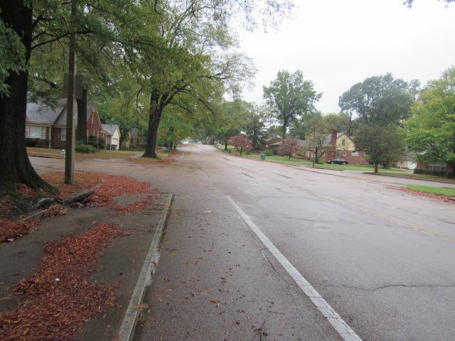 View of road