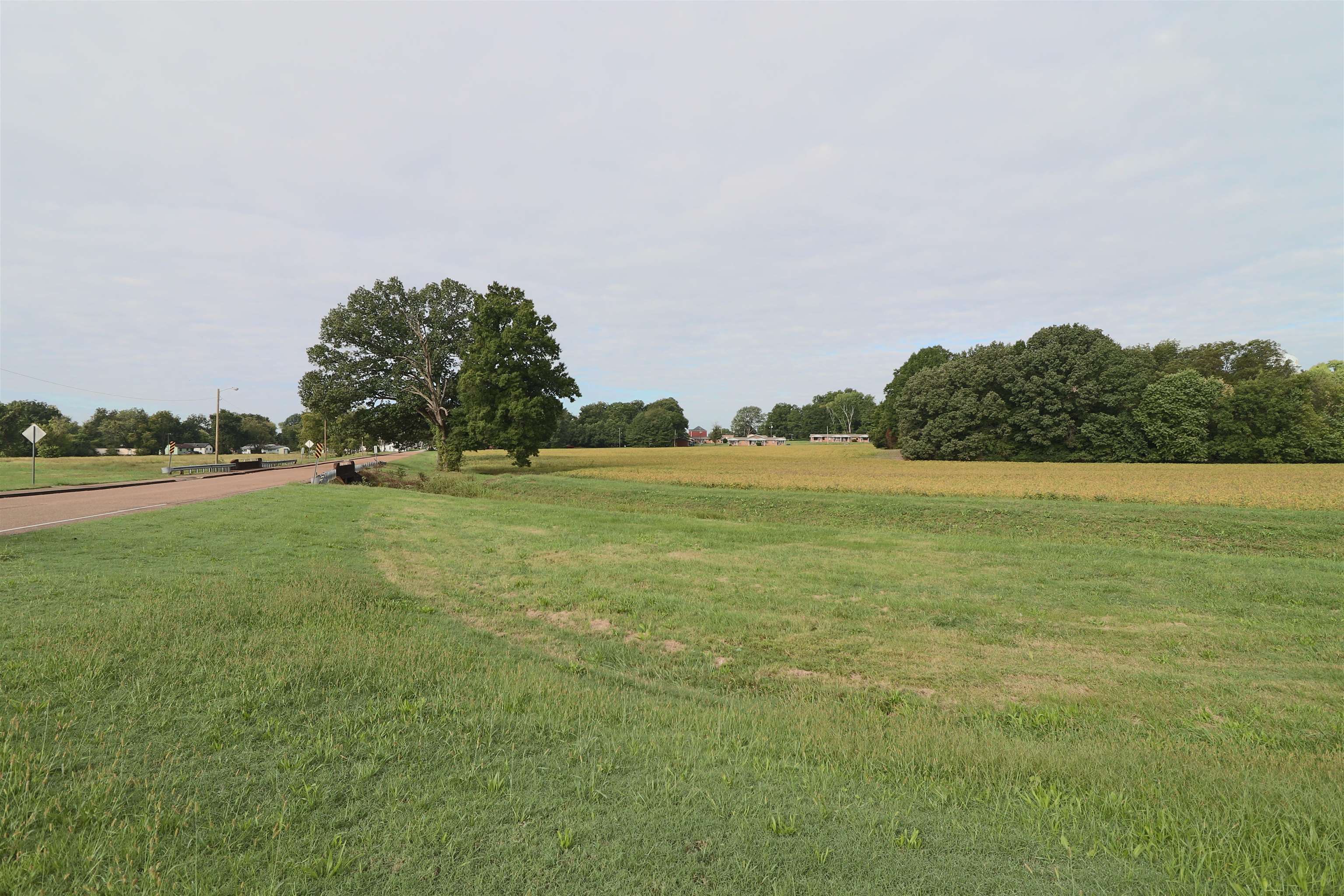 View of yard with a rural view