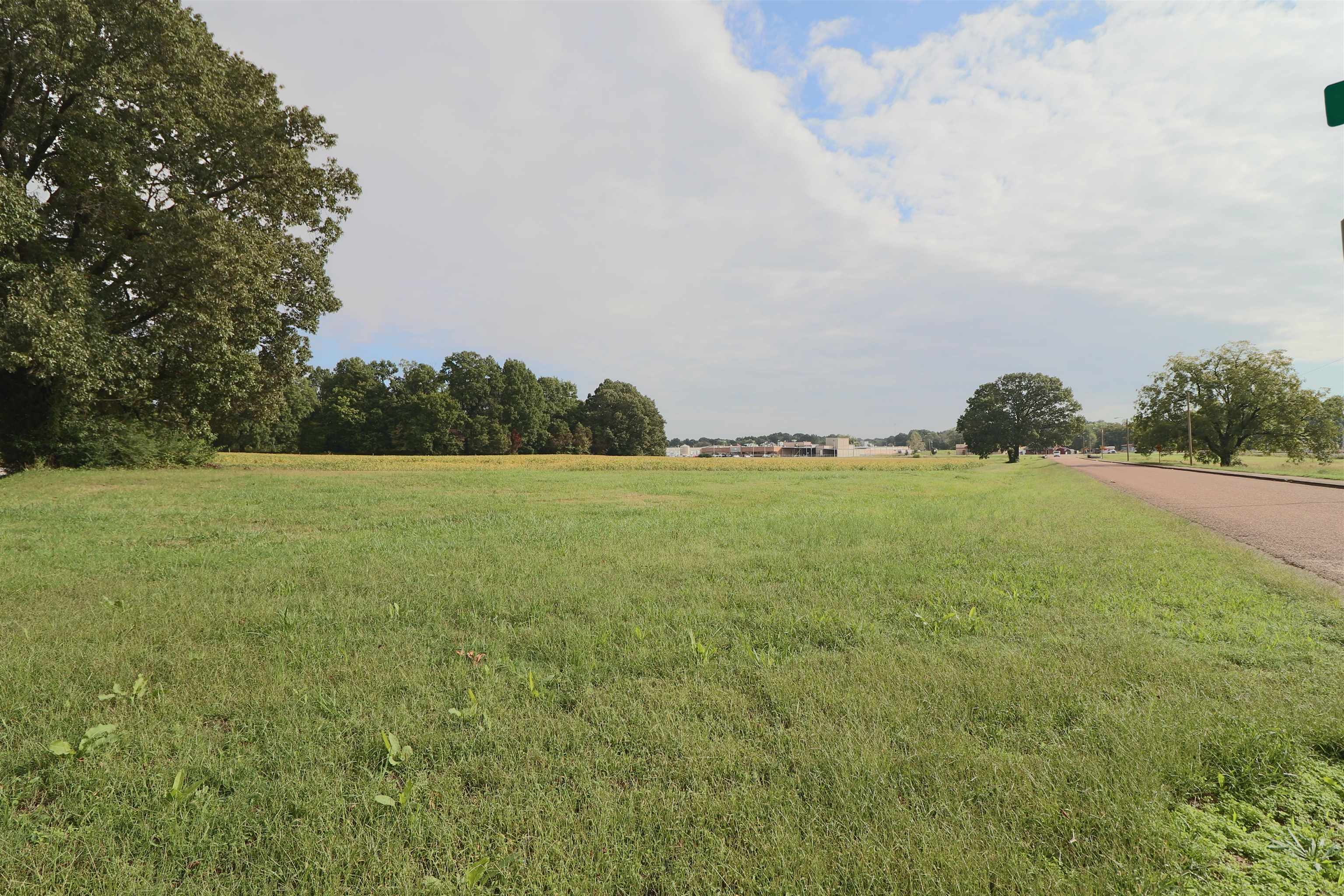 View of yard with a rural view