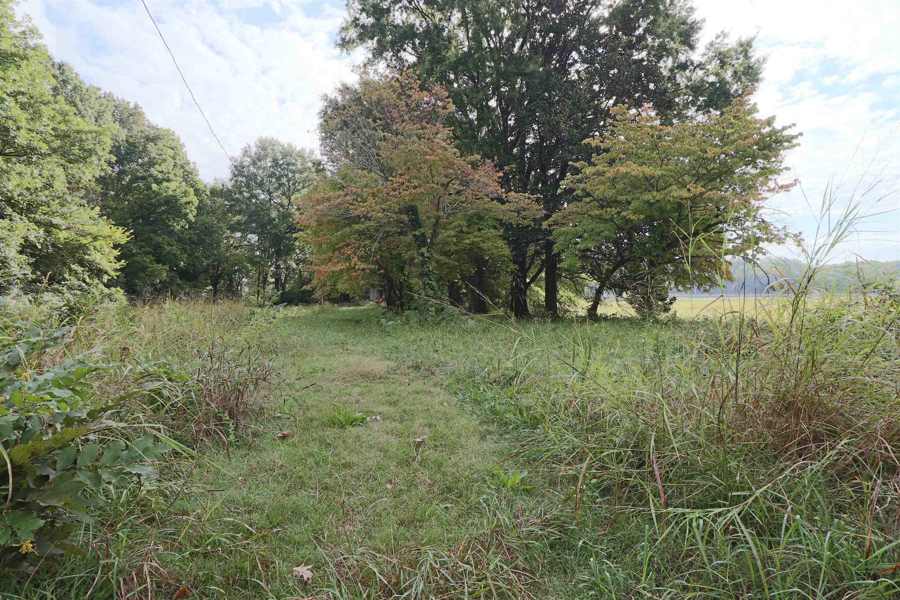 View of landscape