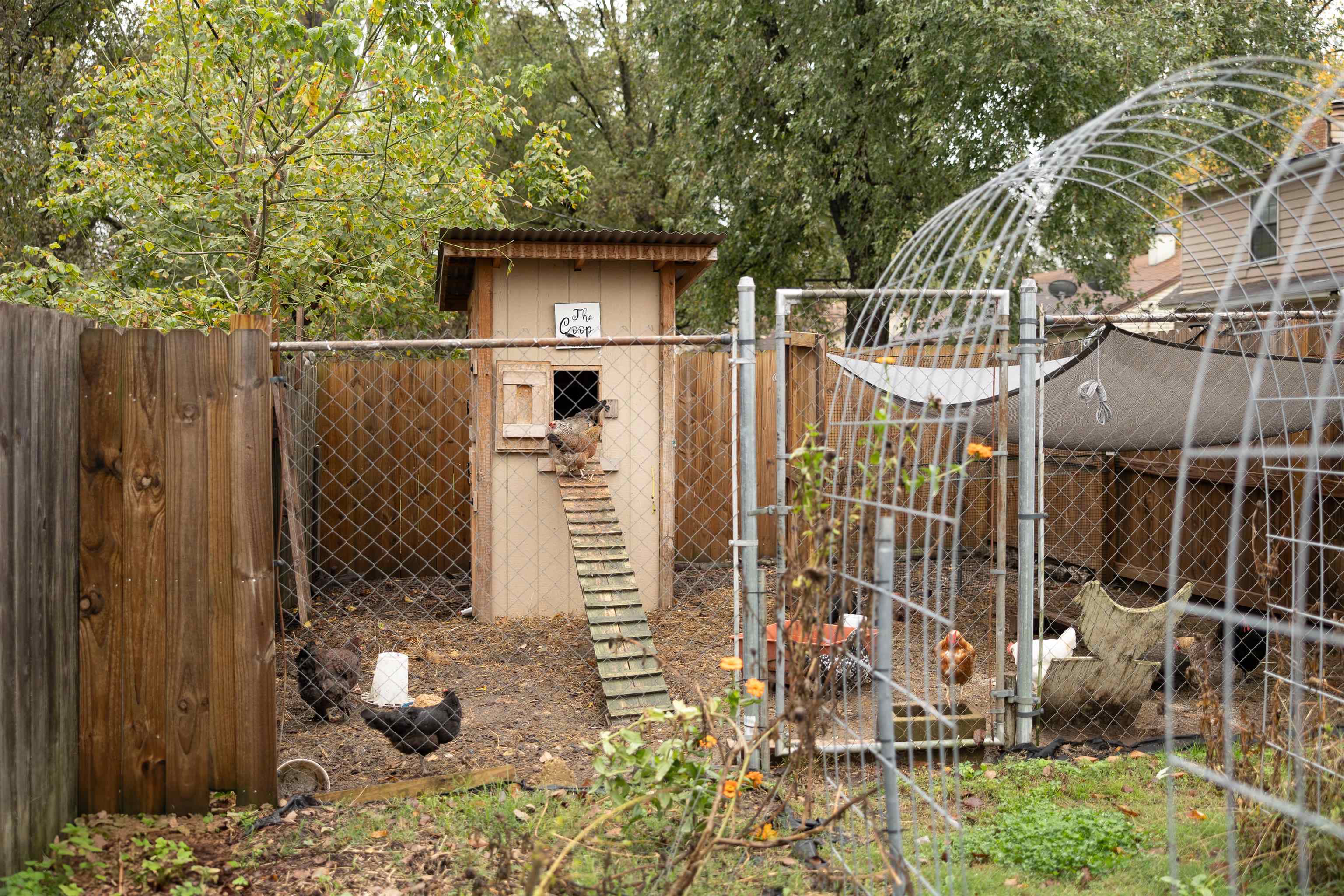 View of gate with a shed