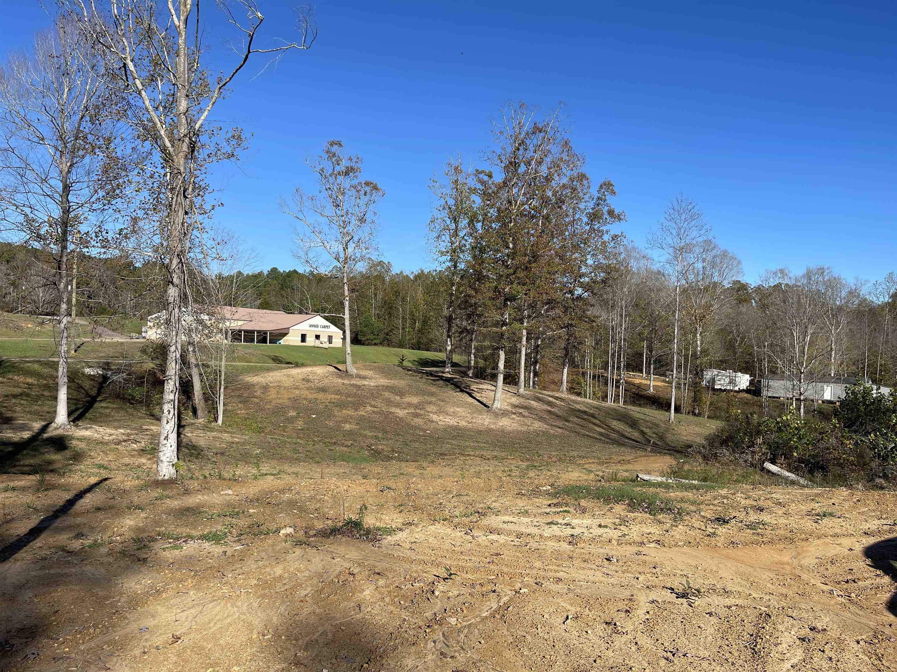 4646 100, Reagan, Tennessee image 18