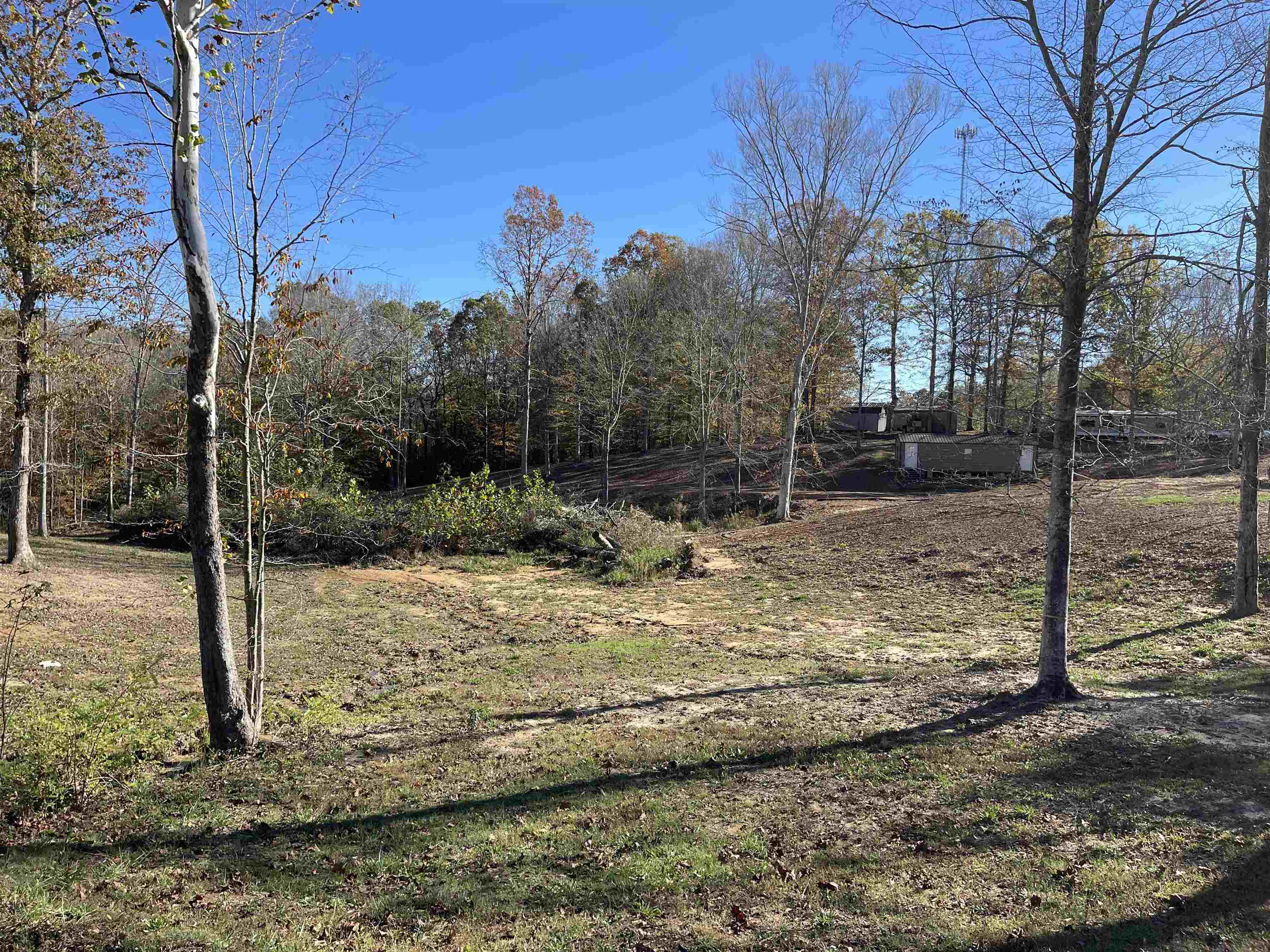 4646 100, Reagan, Tennessee image 20