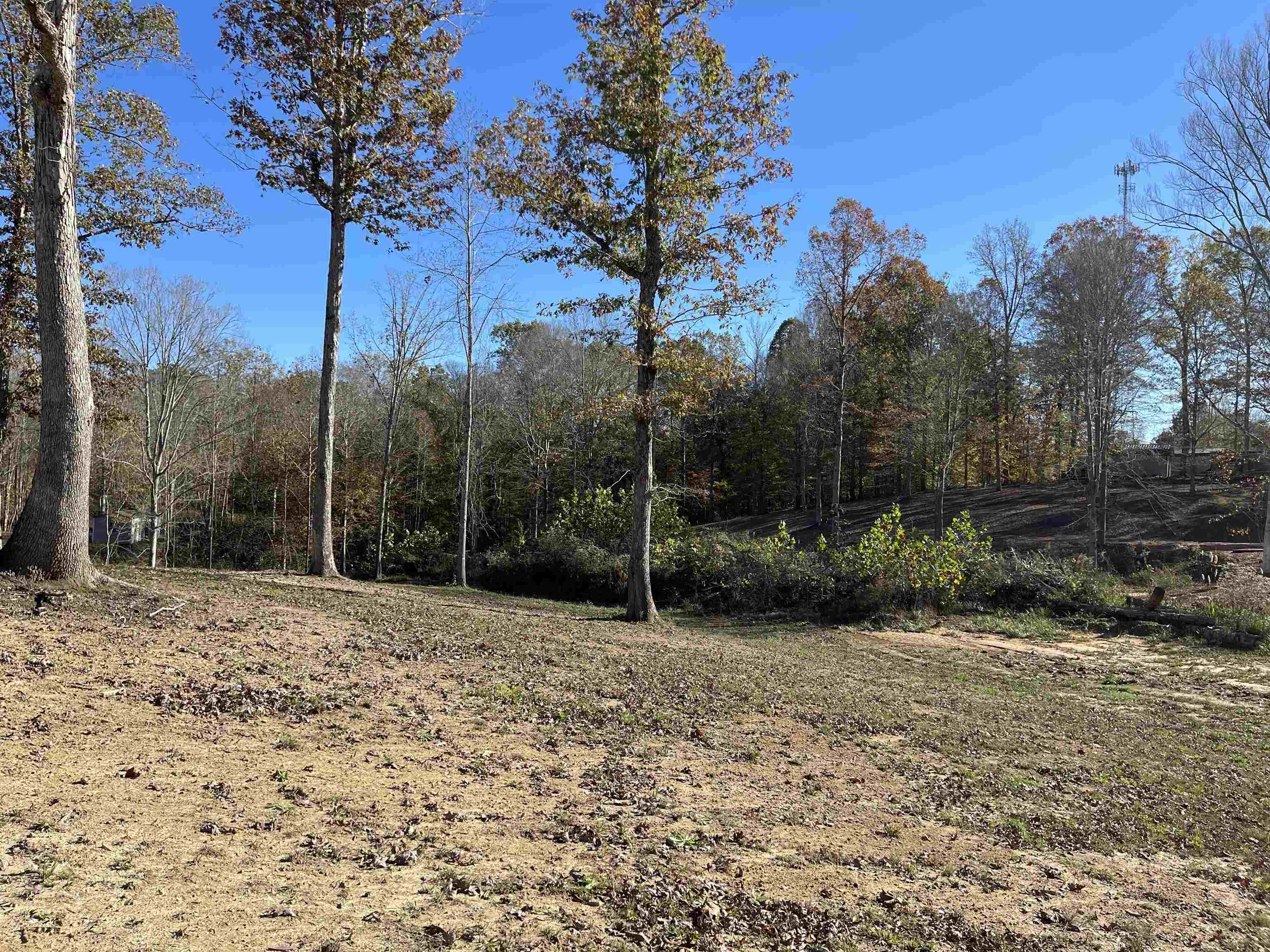 4646 100, Reagan, Tennessee image 21