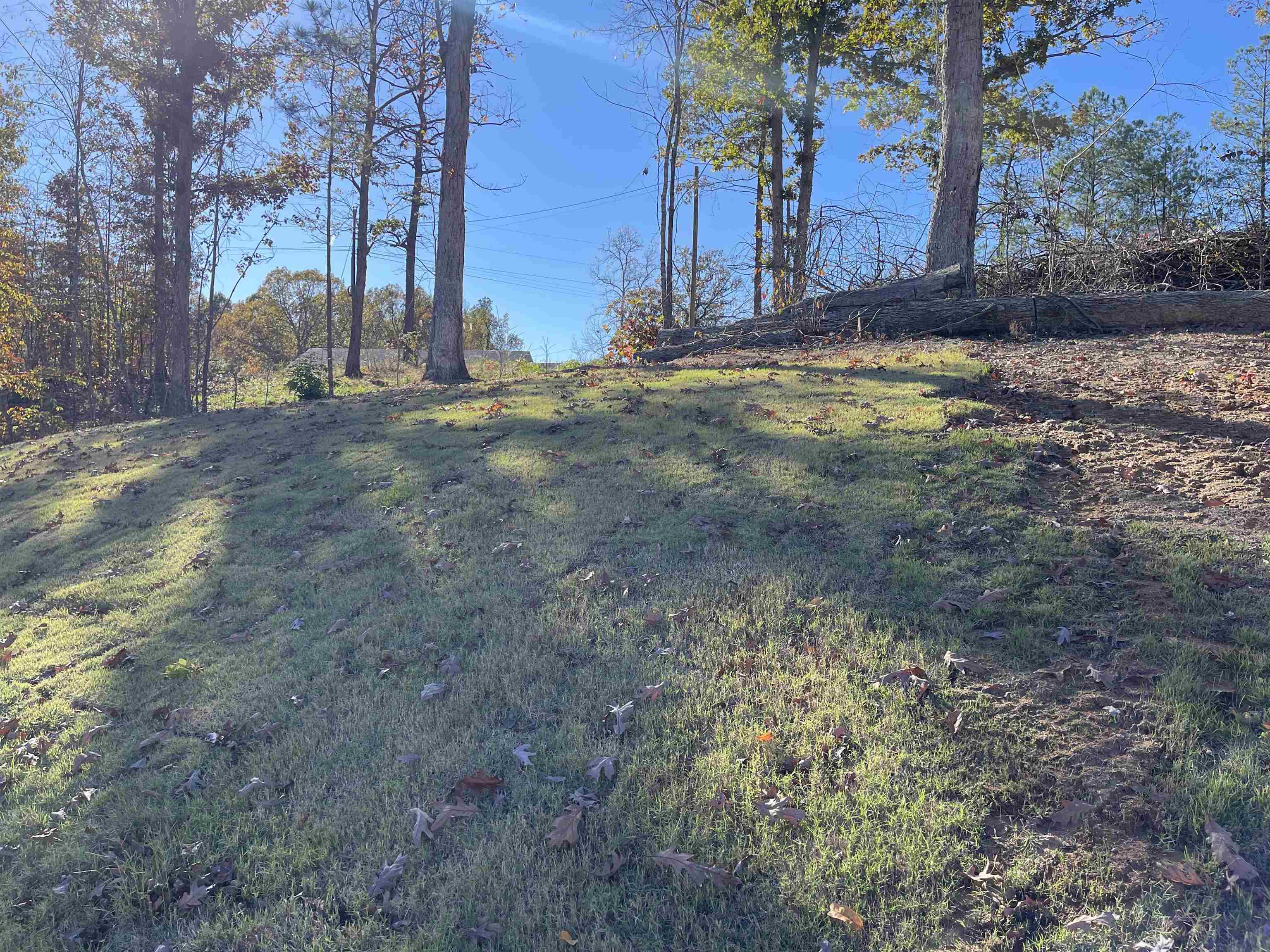 4646 100, Reagan, Tennessee image 25