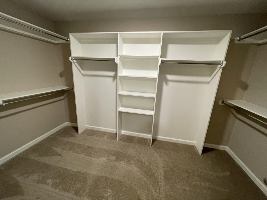 Spacious closet with dark colored carpet