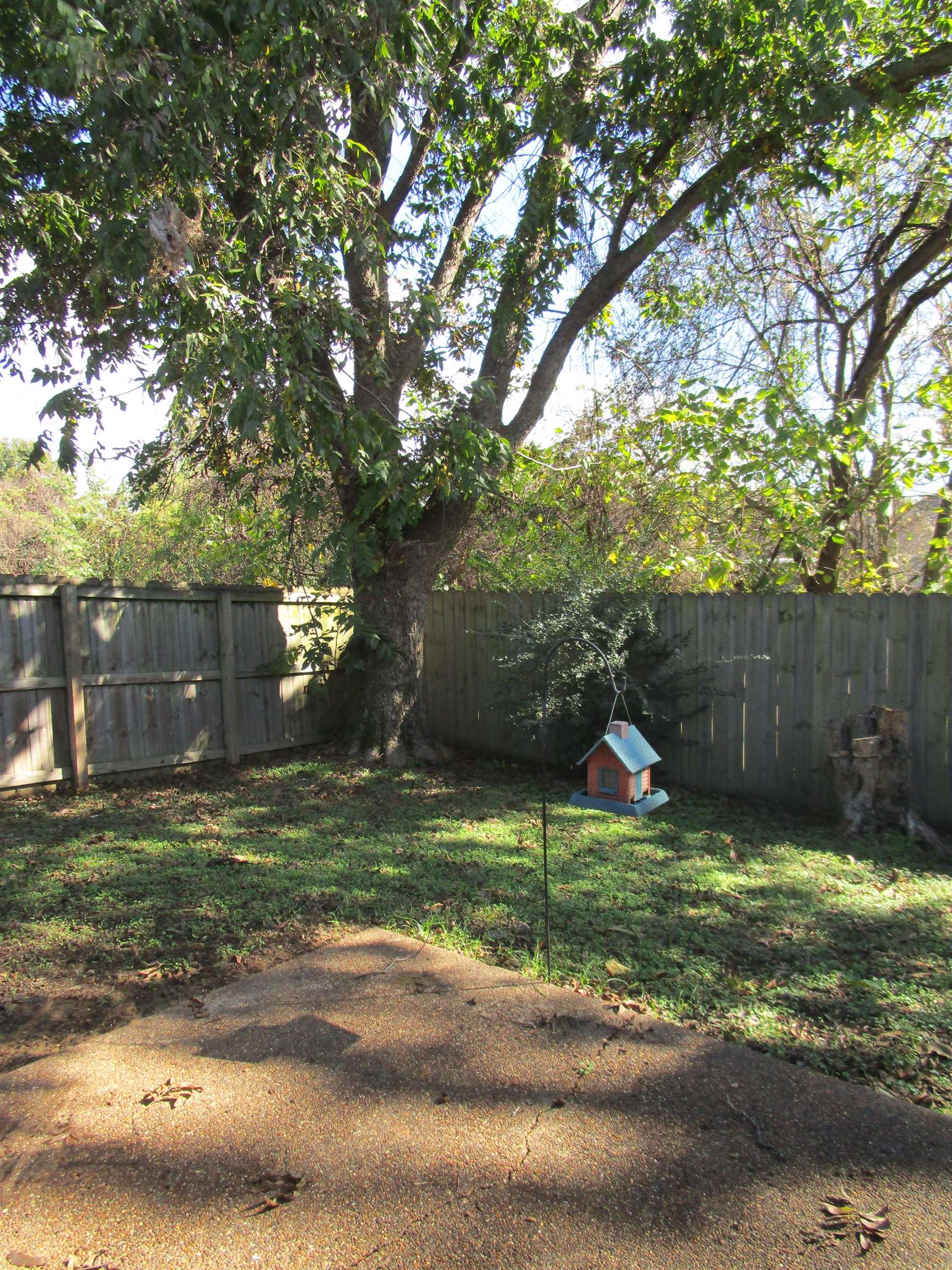 View of yard Secluded with wood fence. Great place for outdoor cooking and relaxing