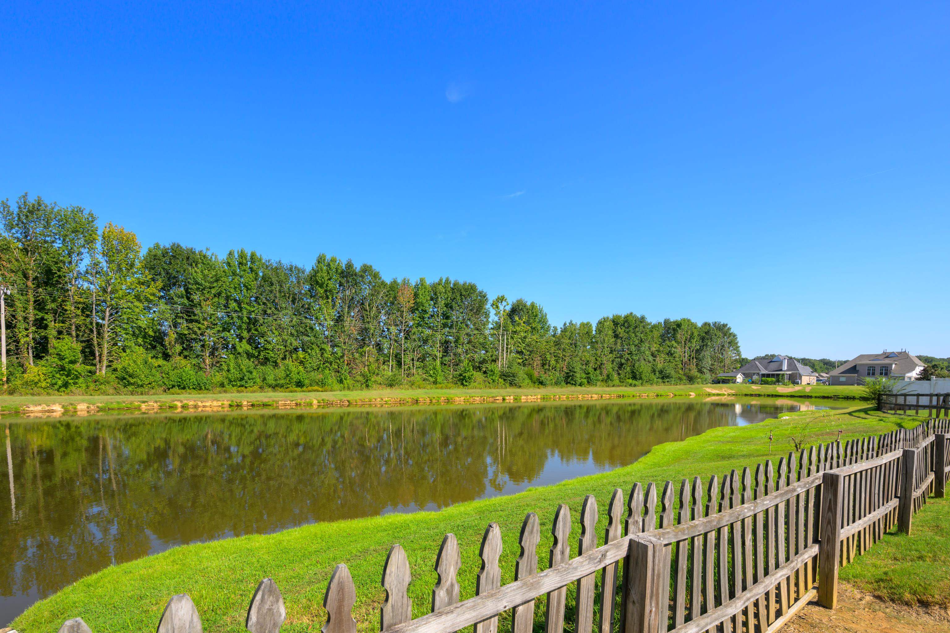 View of the fully stocked pond