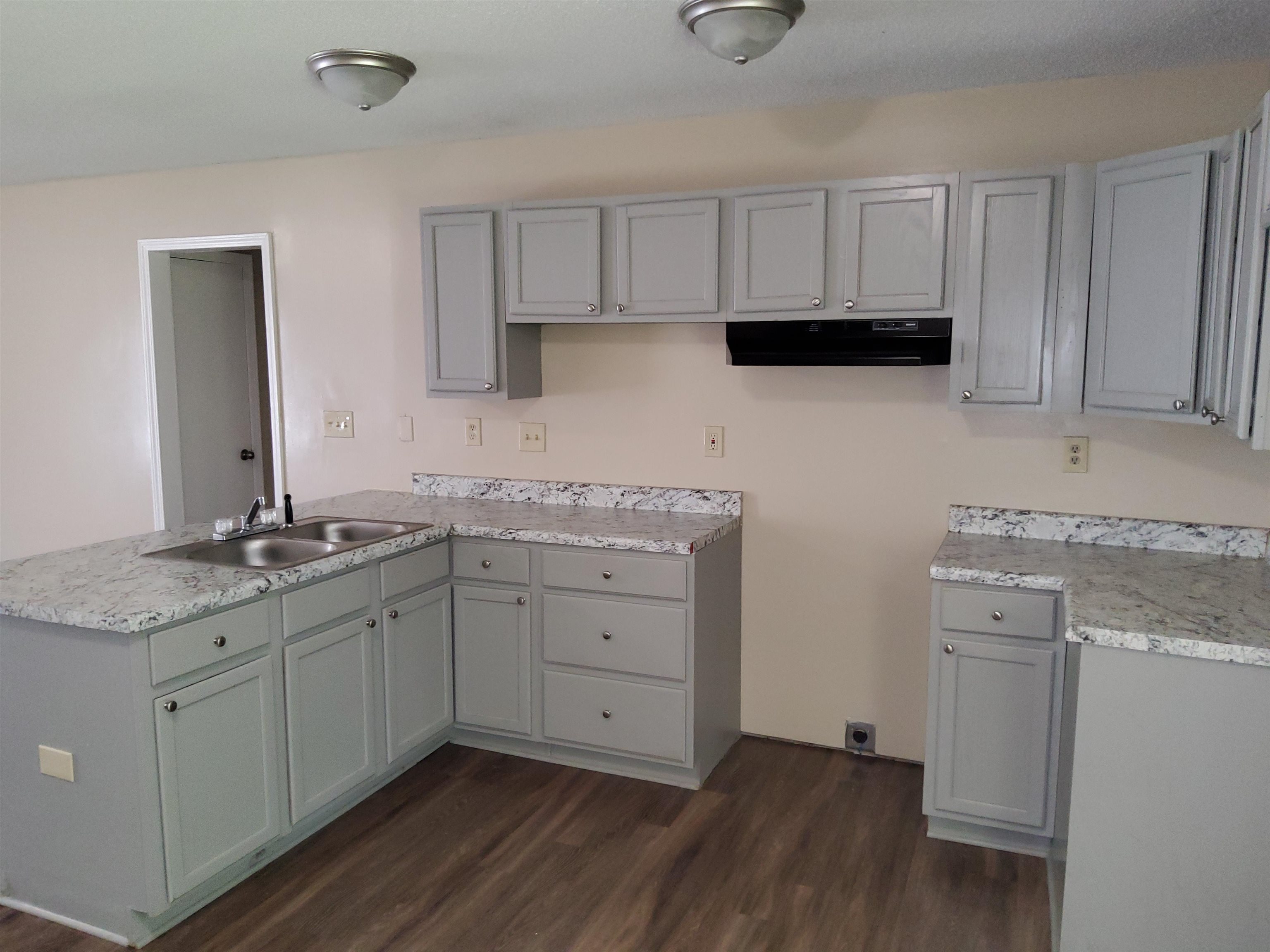 Kitchen featuring kitchen peninsula, gray cabinetry, dark wood-type flooring, and sink