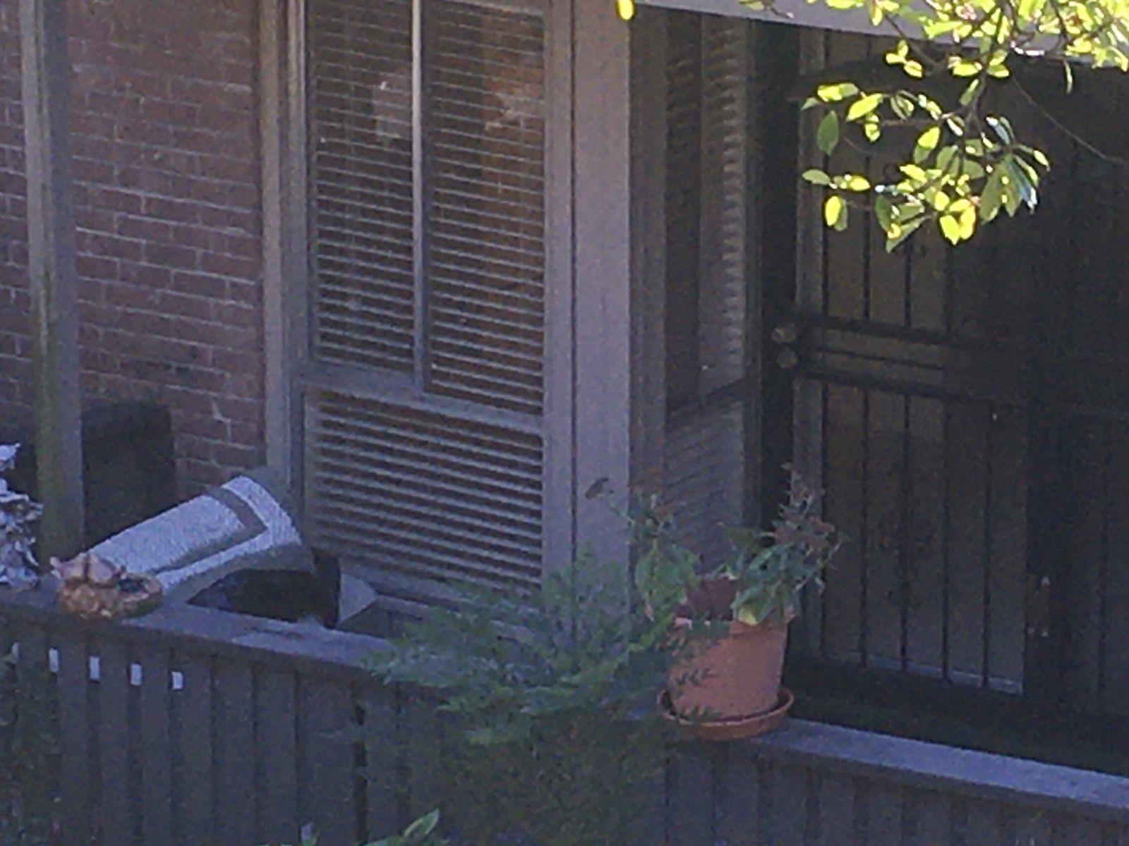 812 Creekside #3, Memphis, Tennessee image 1