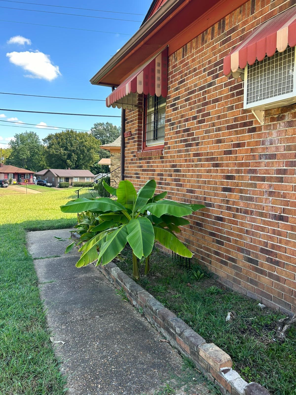 View of side of property with a yard