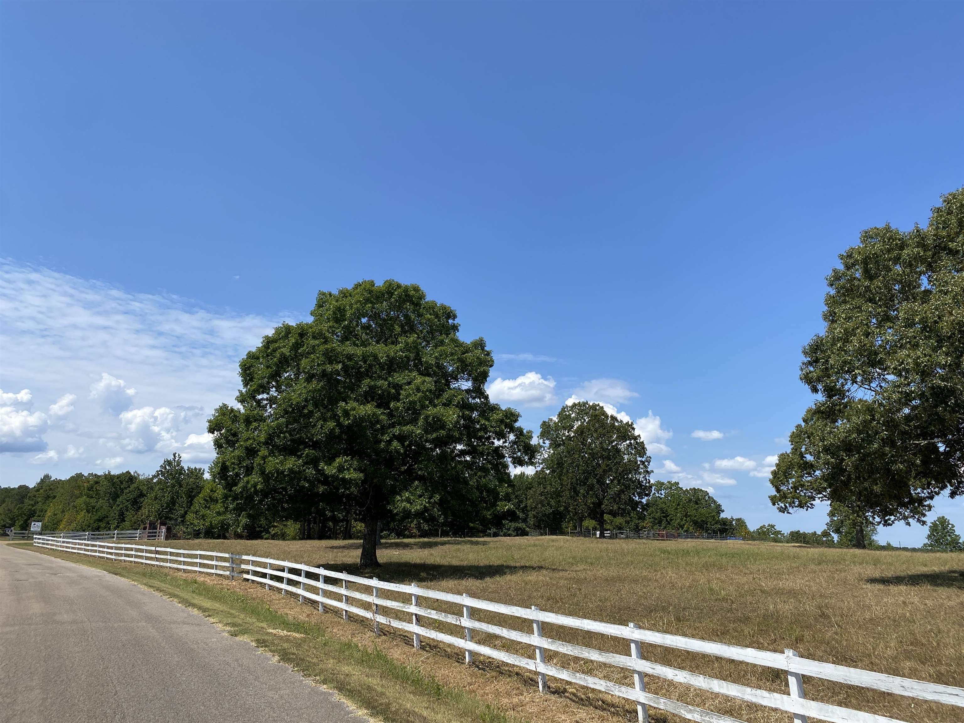 400 Five Forks, Saltillo, Tennessee image 9