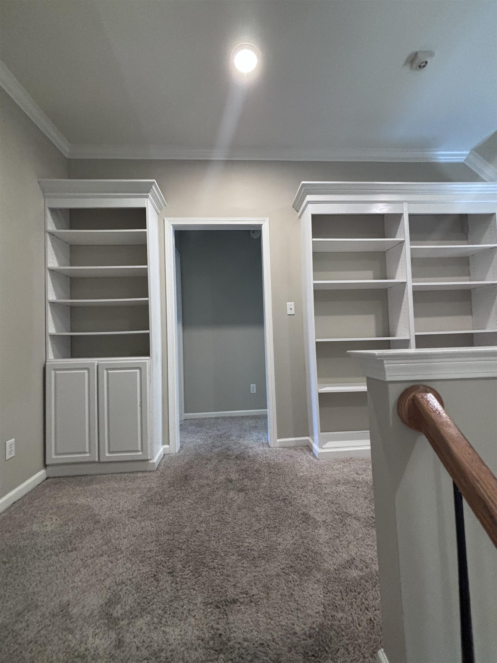 Spacious closet with carpet floors