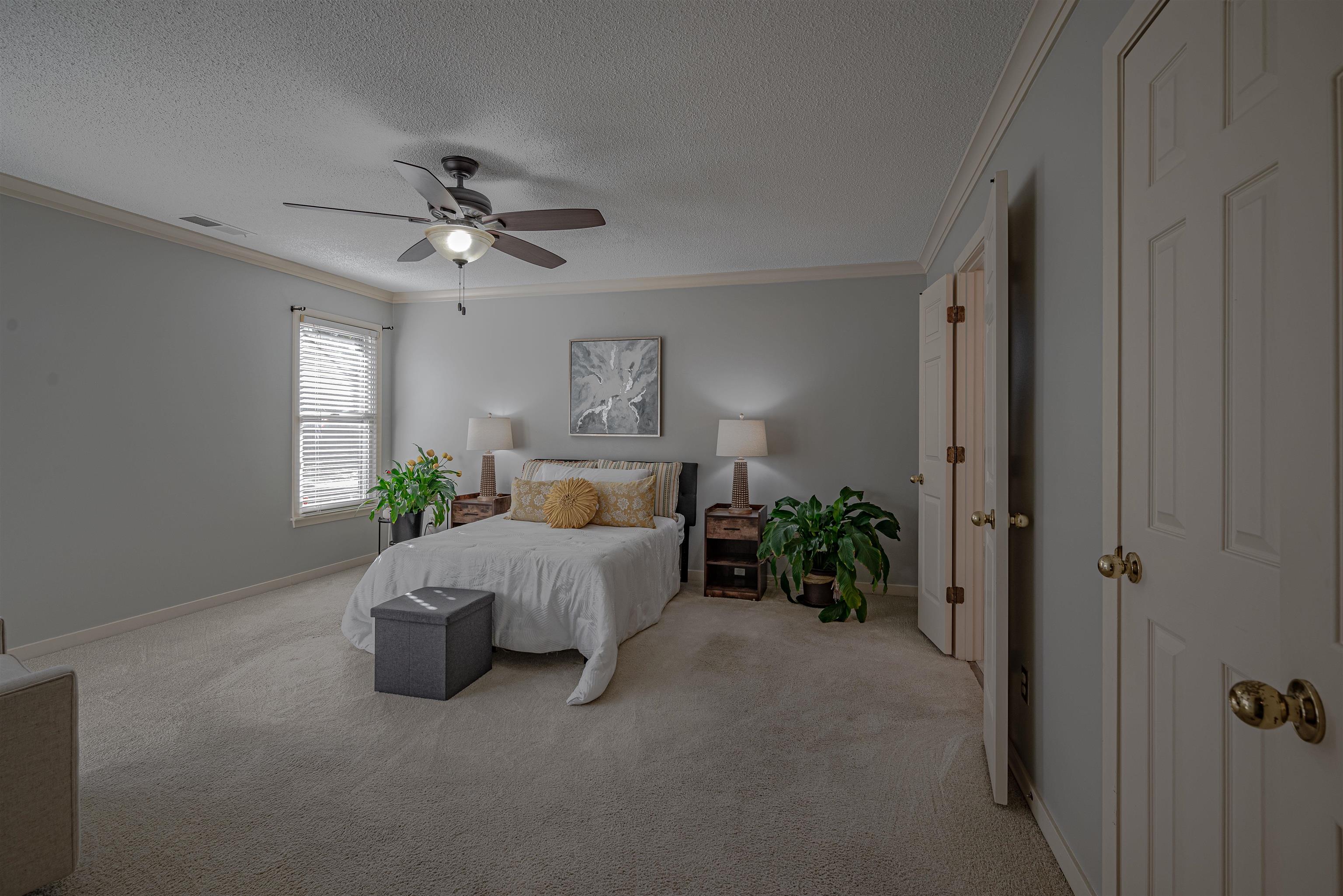 Carpeted bedroom with a textured ceiling, ceiling fan, and crown molding