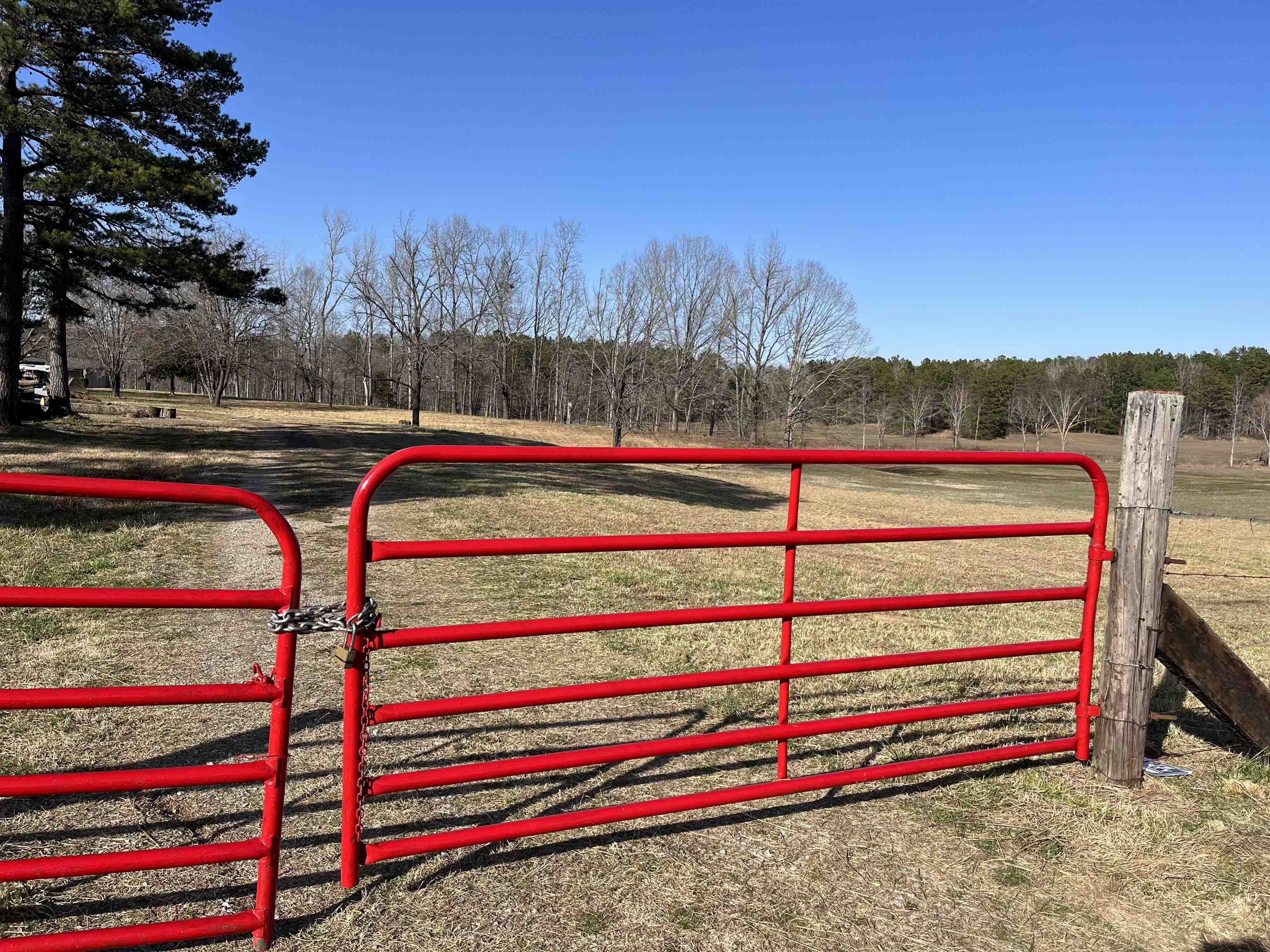9745 57, Saulsbury, Tennessee image 2