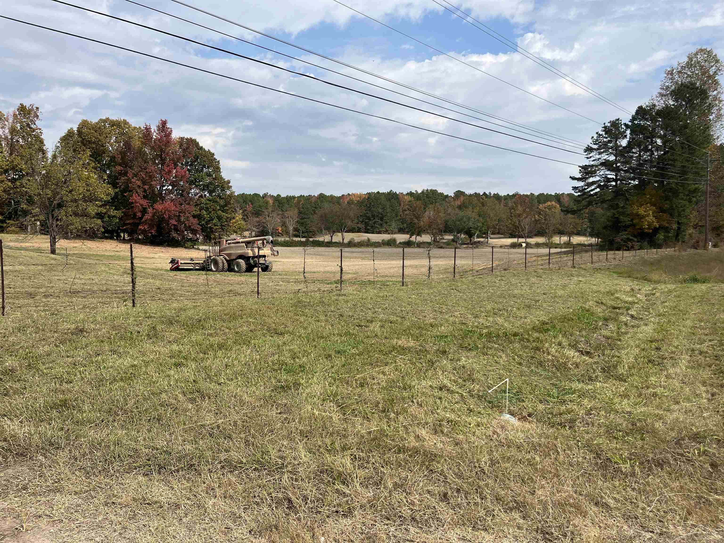 9745 57, Saulsbury, Tennessee image 11