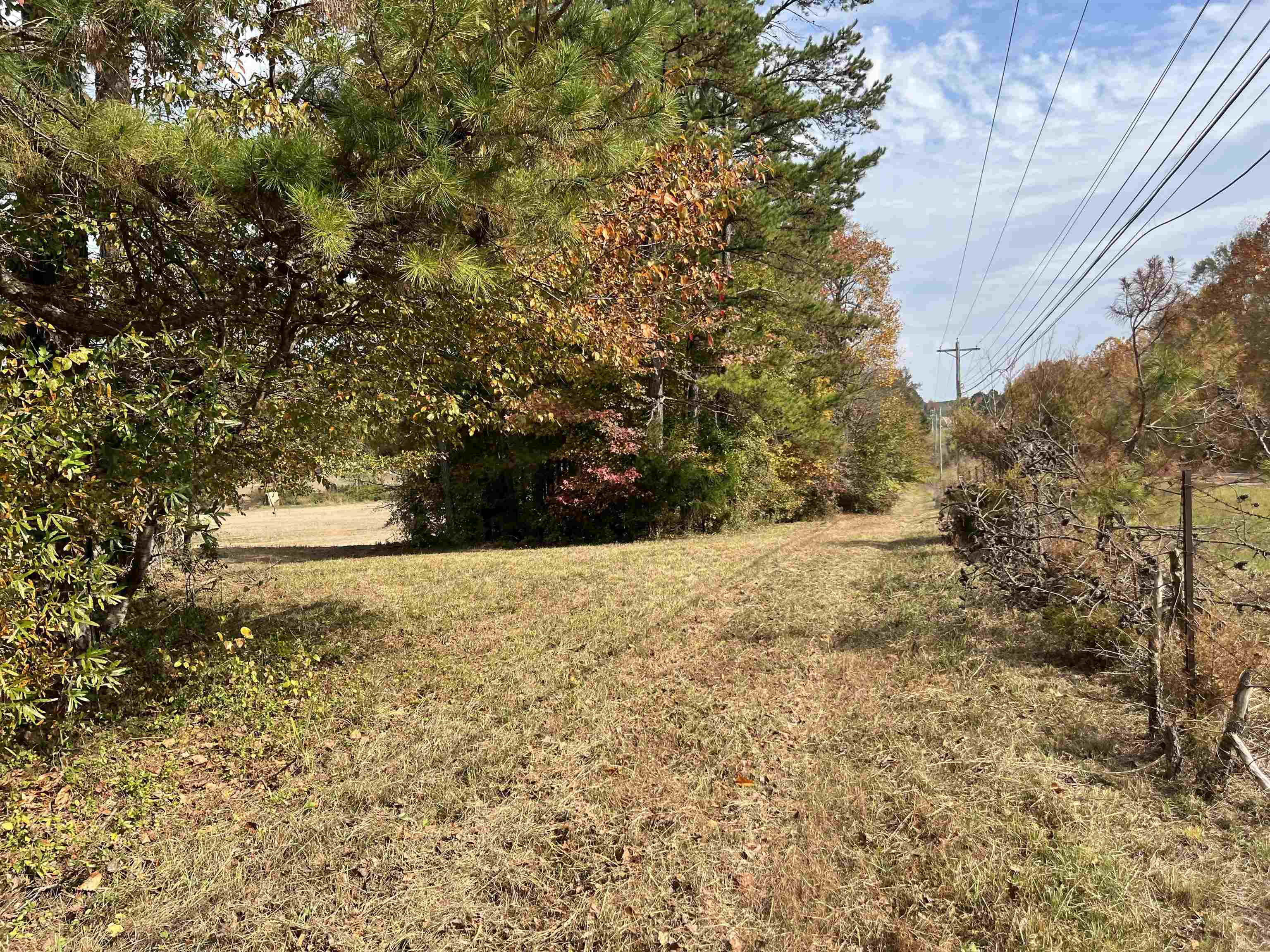 9745 57, Saulsbury, Tennessee image 6