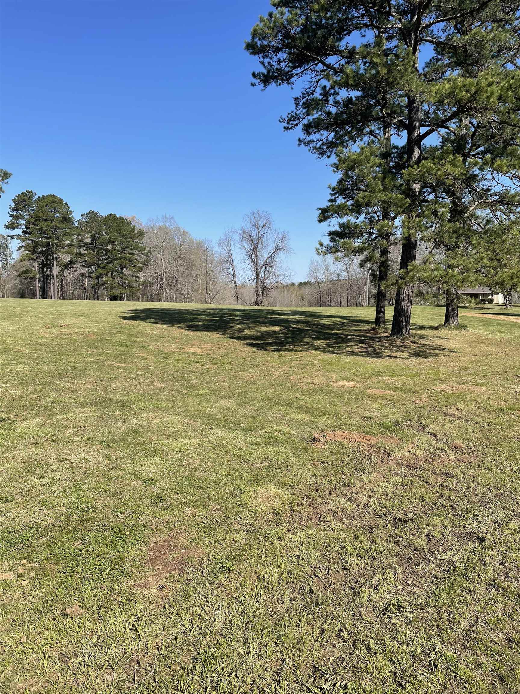 9745 57, Saulsbury, Tennessee image 7