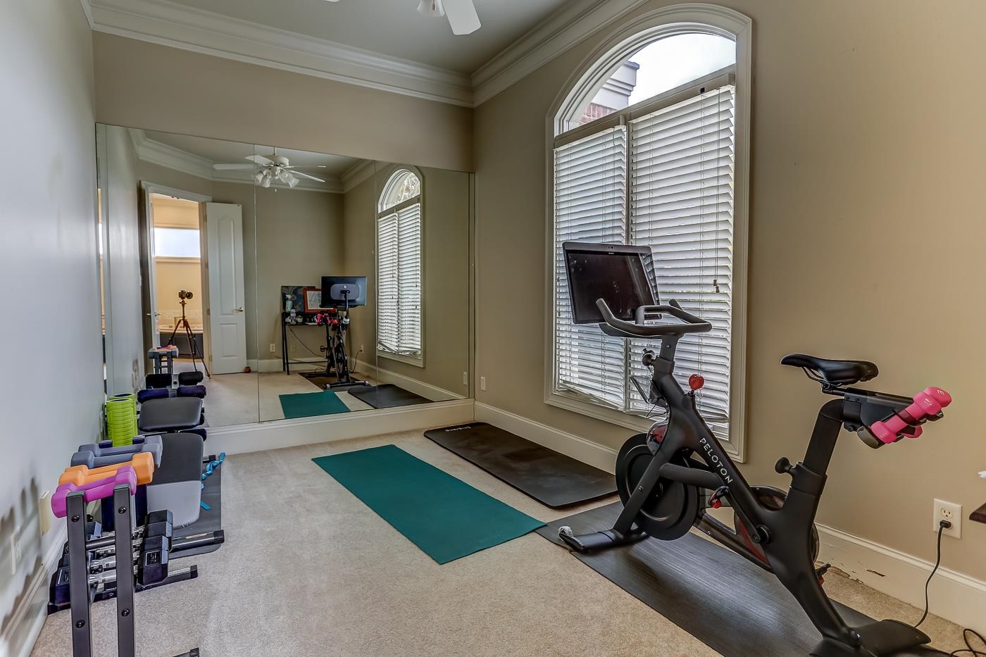 Workout area with carpet, a wealth of natural light, crown molding, and ceiling fan