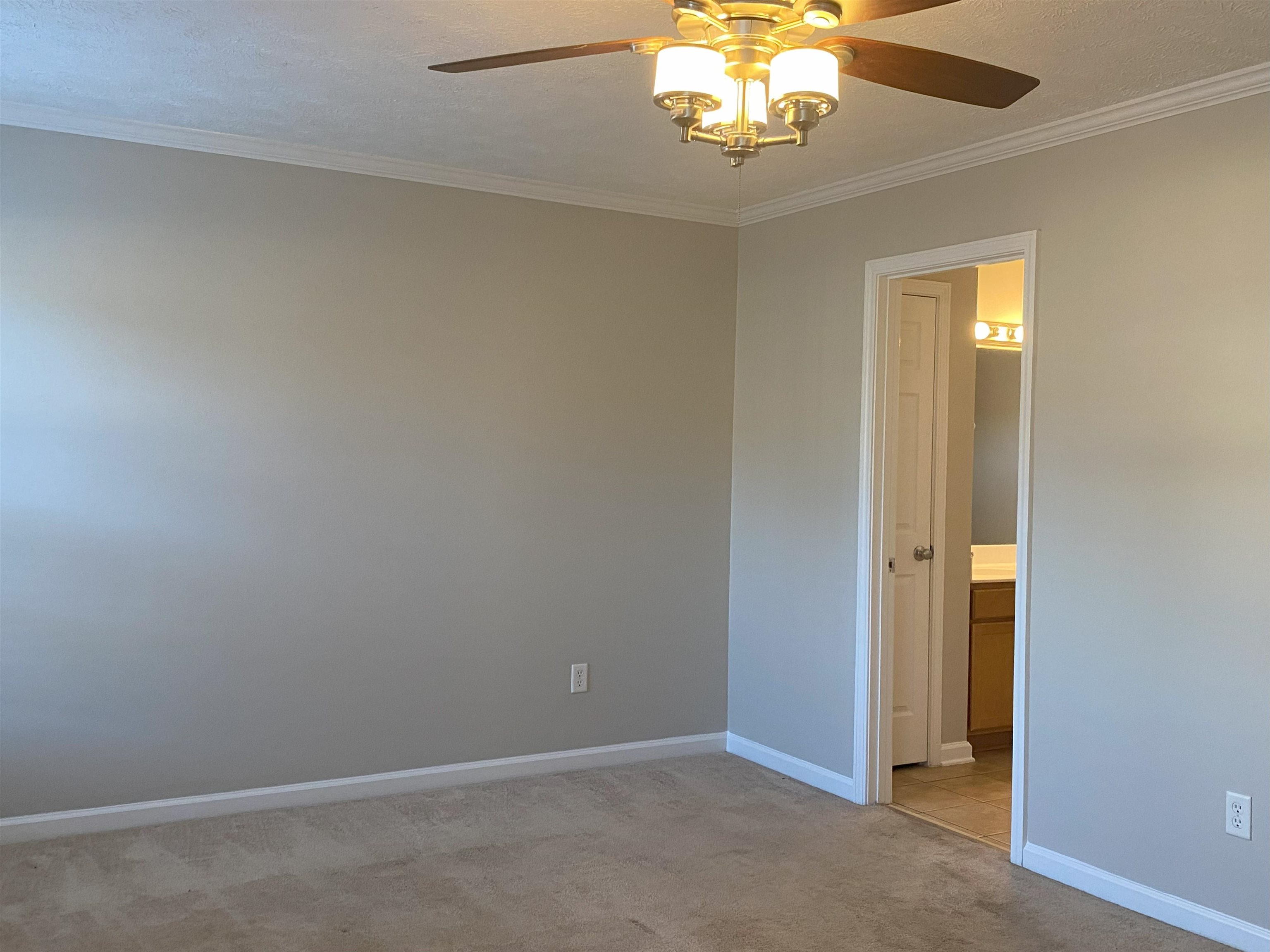 Unfurnished room with light colored carpet, ceiling fan, and crown molding