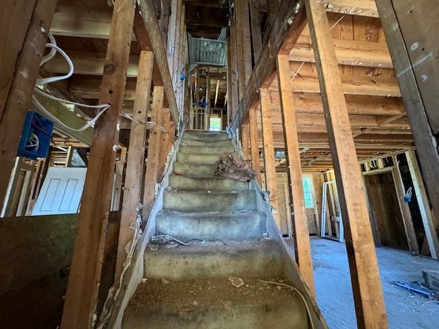 View of unfinished attic