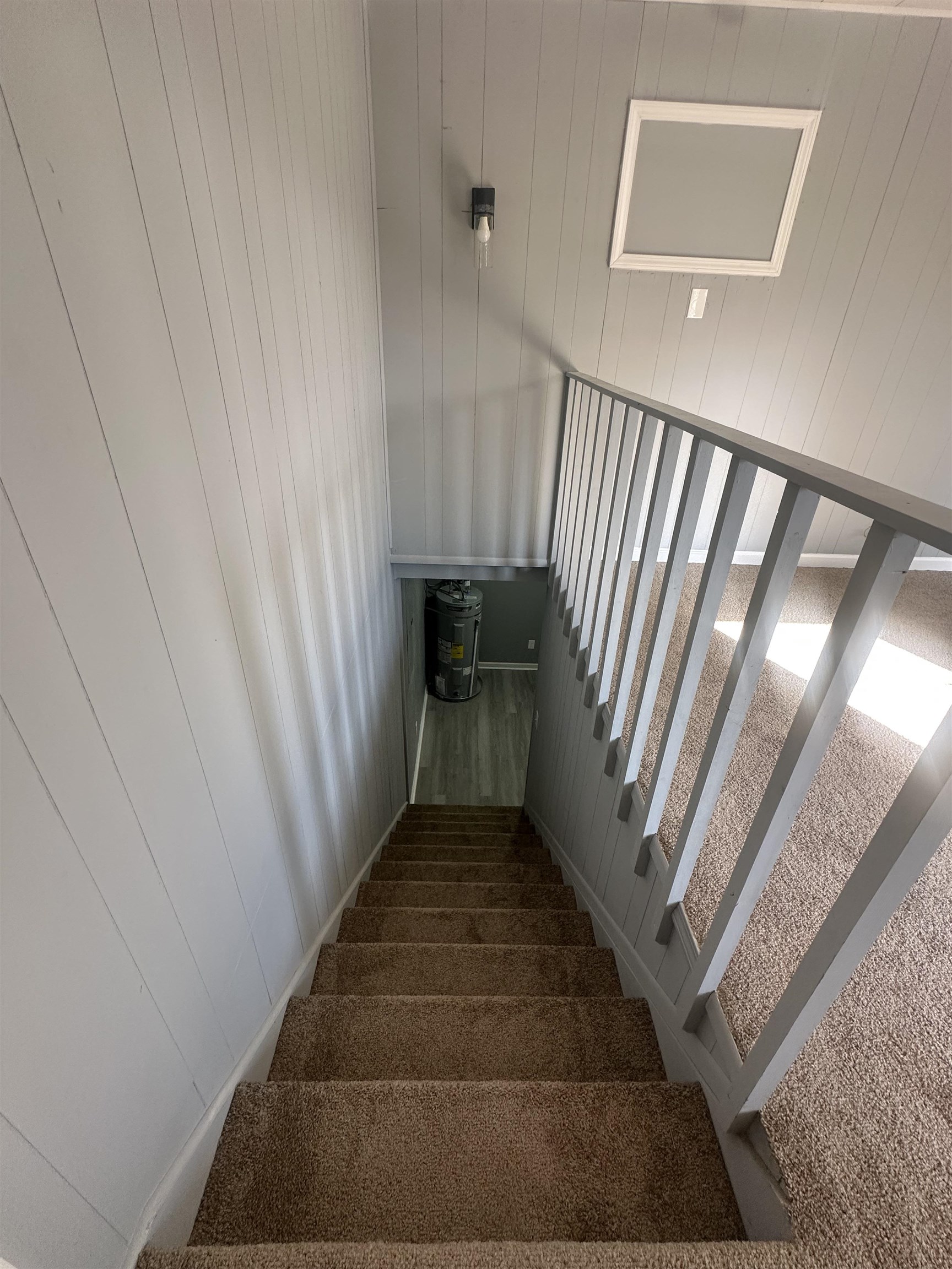 Staircase featuring carpet floors and wood walls