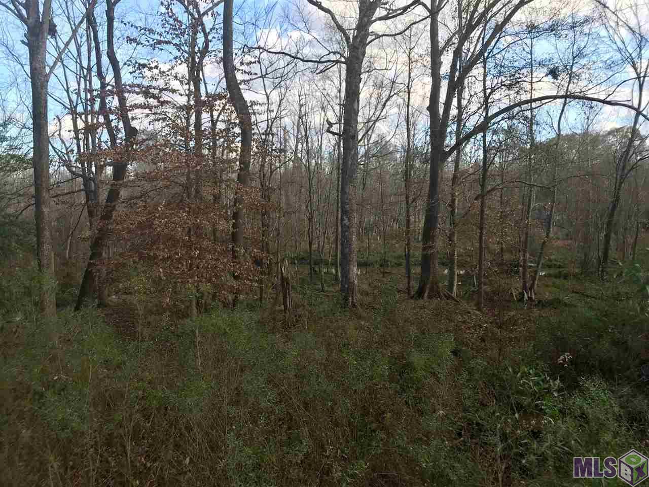 TBD LAKE ROSEMOUND RD, St Francisville, LA 70775 (For Sale NYStateMLS