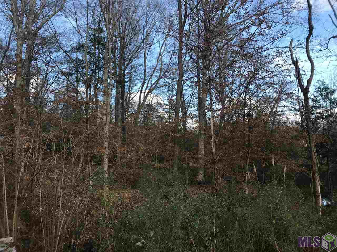 TBD LAKE ROSEMOUND RD, St Francisville, LA 70775 (For Sale NYStateMLS