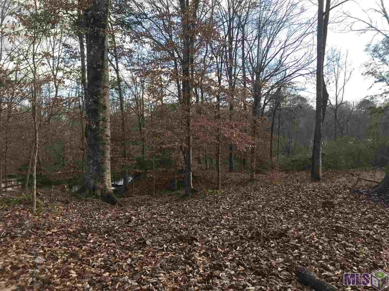 TBD LAKE ROSEMOUND RD, St Francisville, LA 70775 (For Sale NYStateMLS