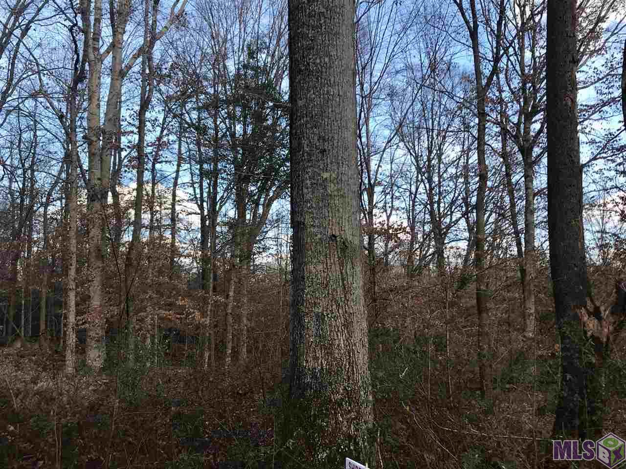 TBD LAKE ROSEMOUND RD, St Francisville, LA 70775 (For Sale NYStateMLS Listing 10703039)