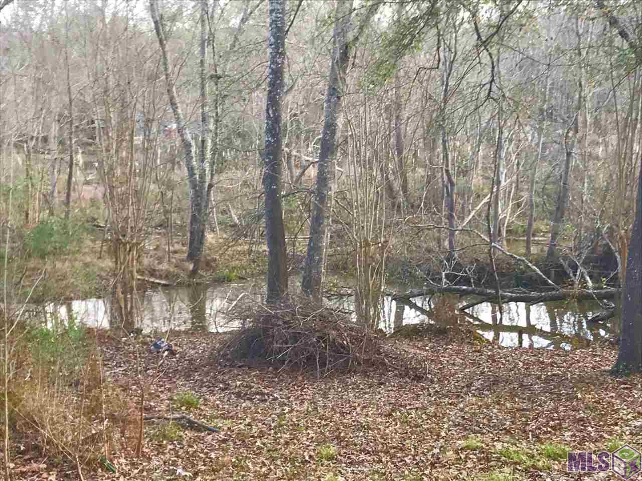 TBD LAKE ROSEMOUND RD, St Francisville, LA 70775 (For Sale NYStateMLS Listing 10703039)