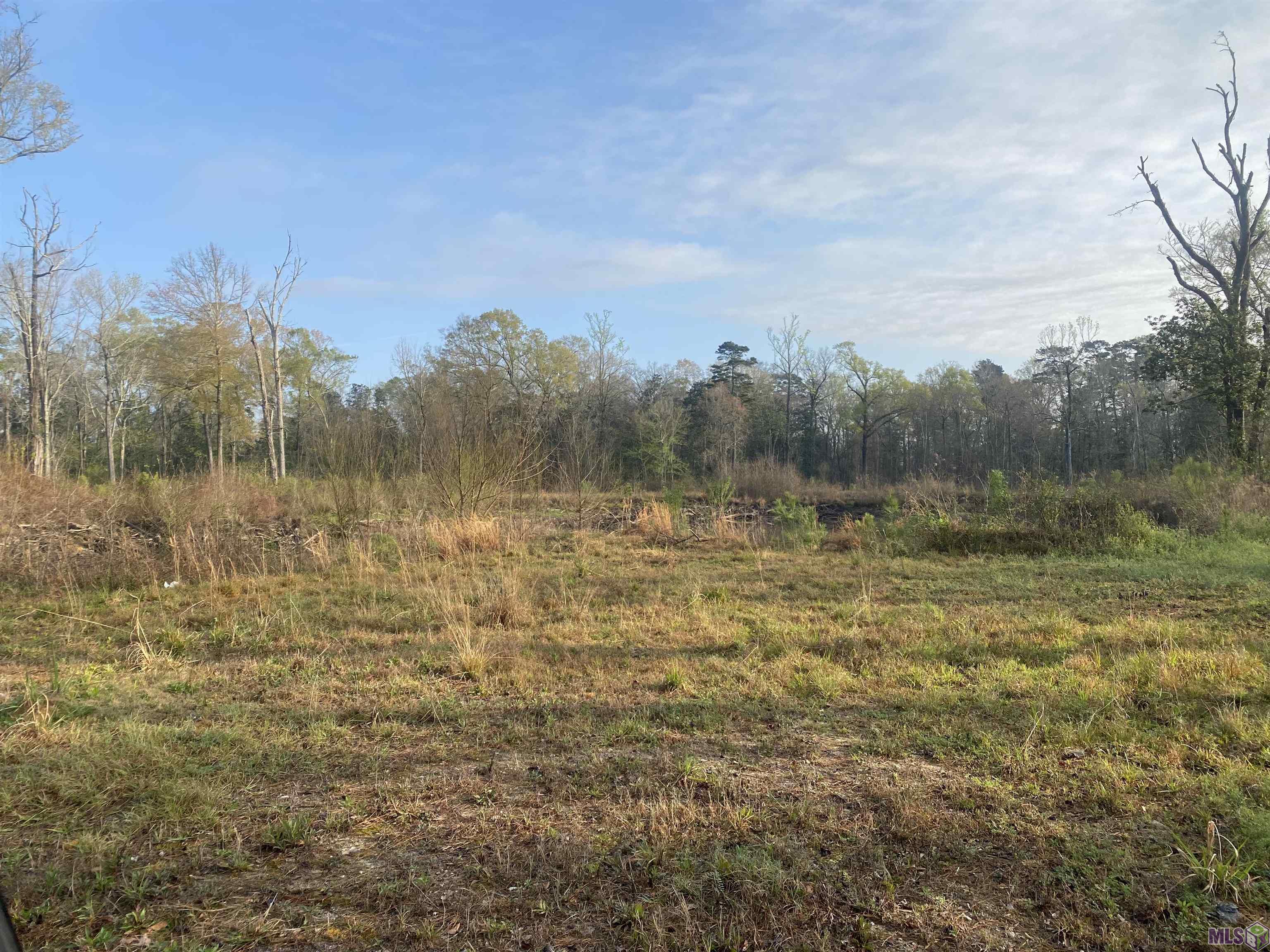 Prime lot for your business development! This 18.97 acres is partially cleared with great exposure and is convenient to everything.