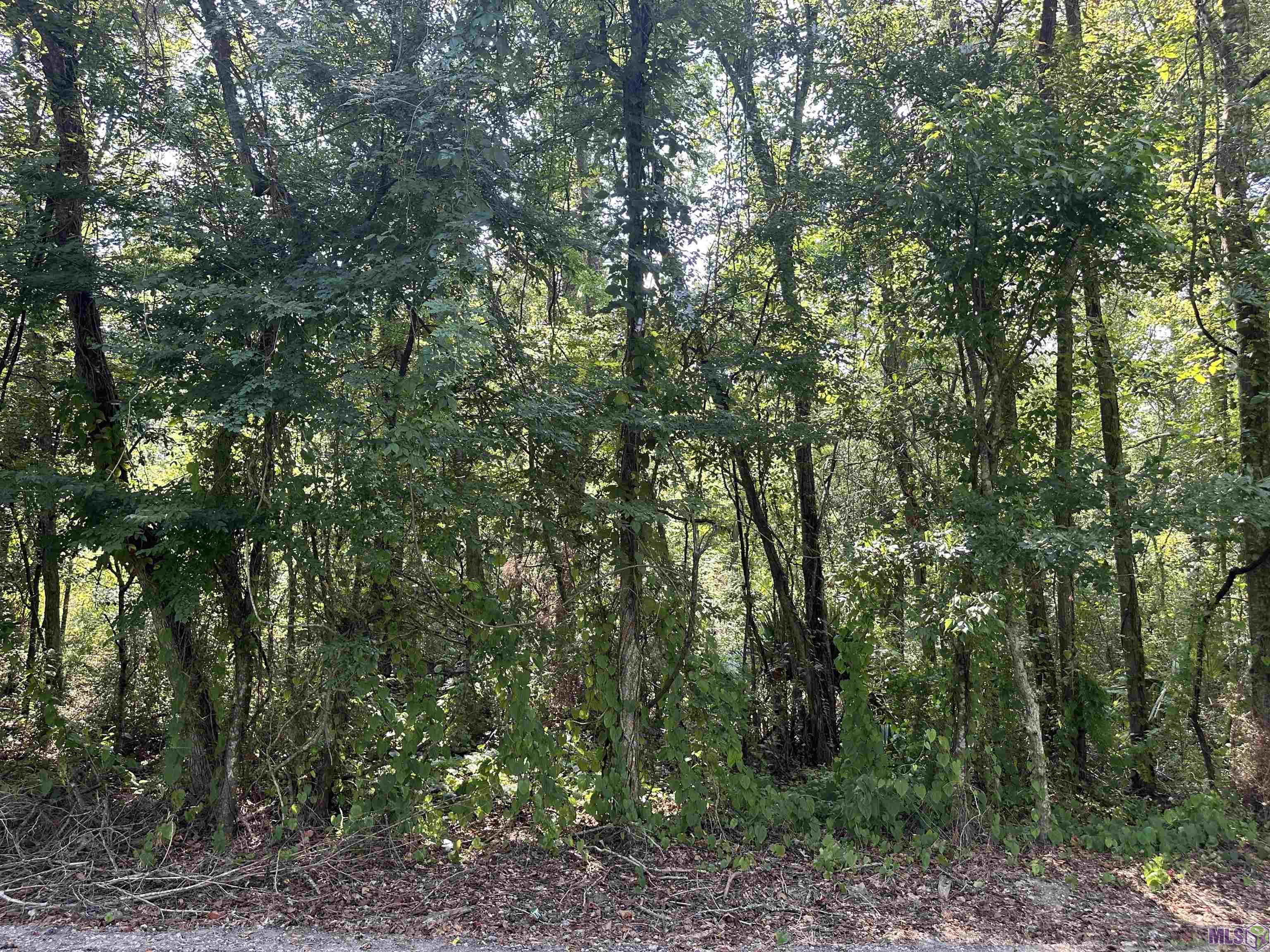 Lot A-1-A Church Point Rd, Gonzales, Louisiana image 2
