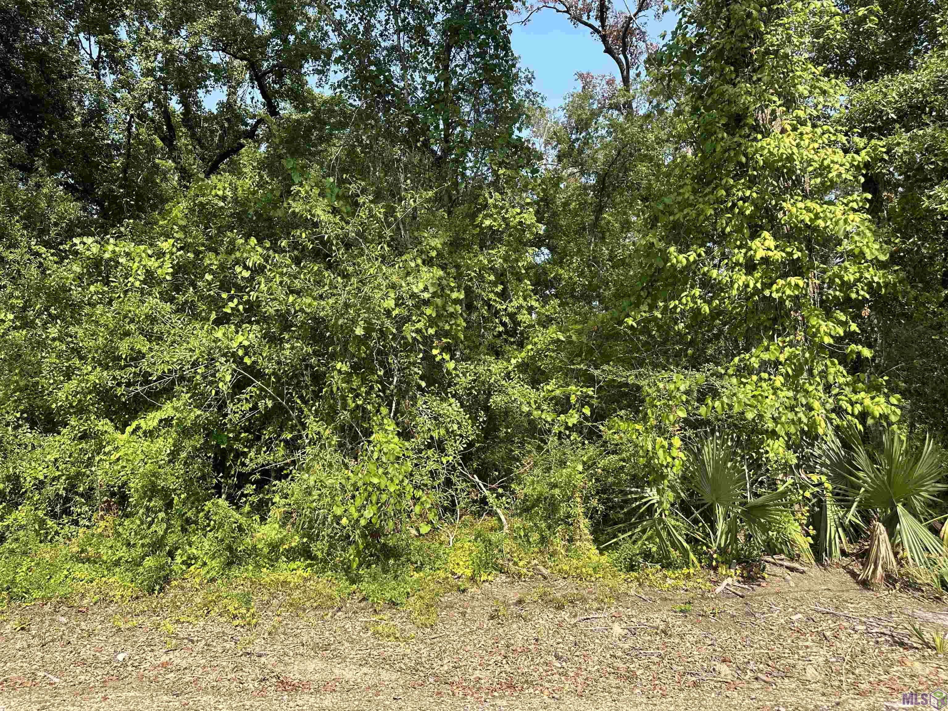 Lot A-1-A Church Point Rd, Gonzales, Louisiana image 20