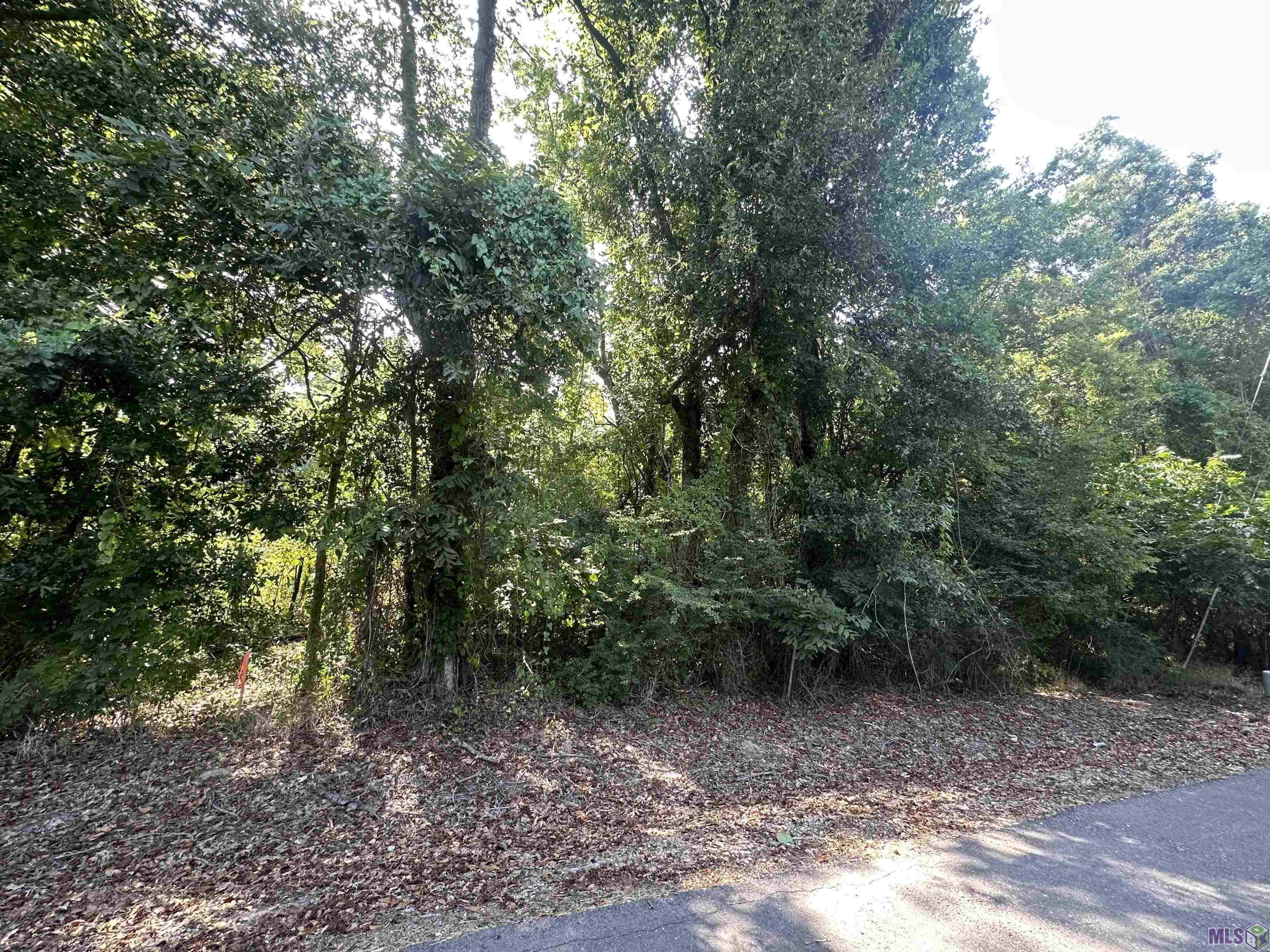 Lot A-1-A Church Point Rd, Gonzales, Louisiana image 6