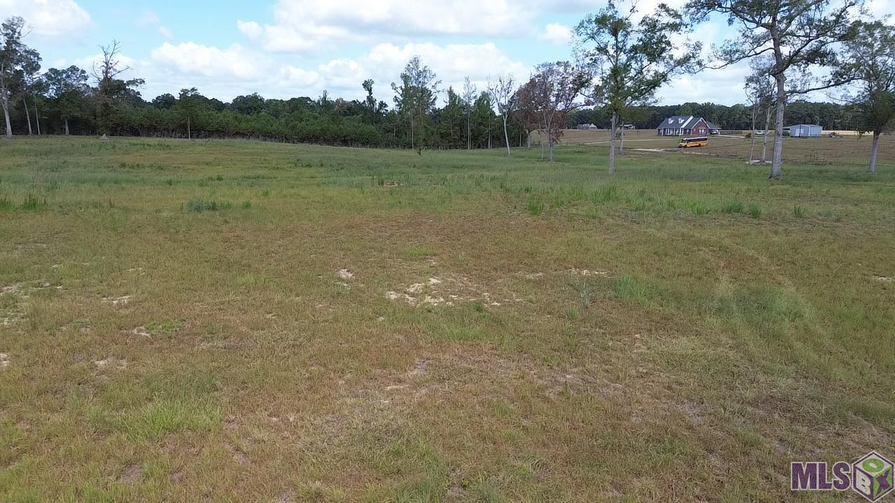 LOT B & C Clement Rd, Independence, Louisiana image 3